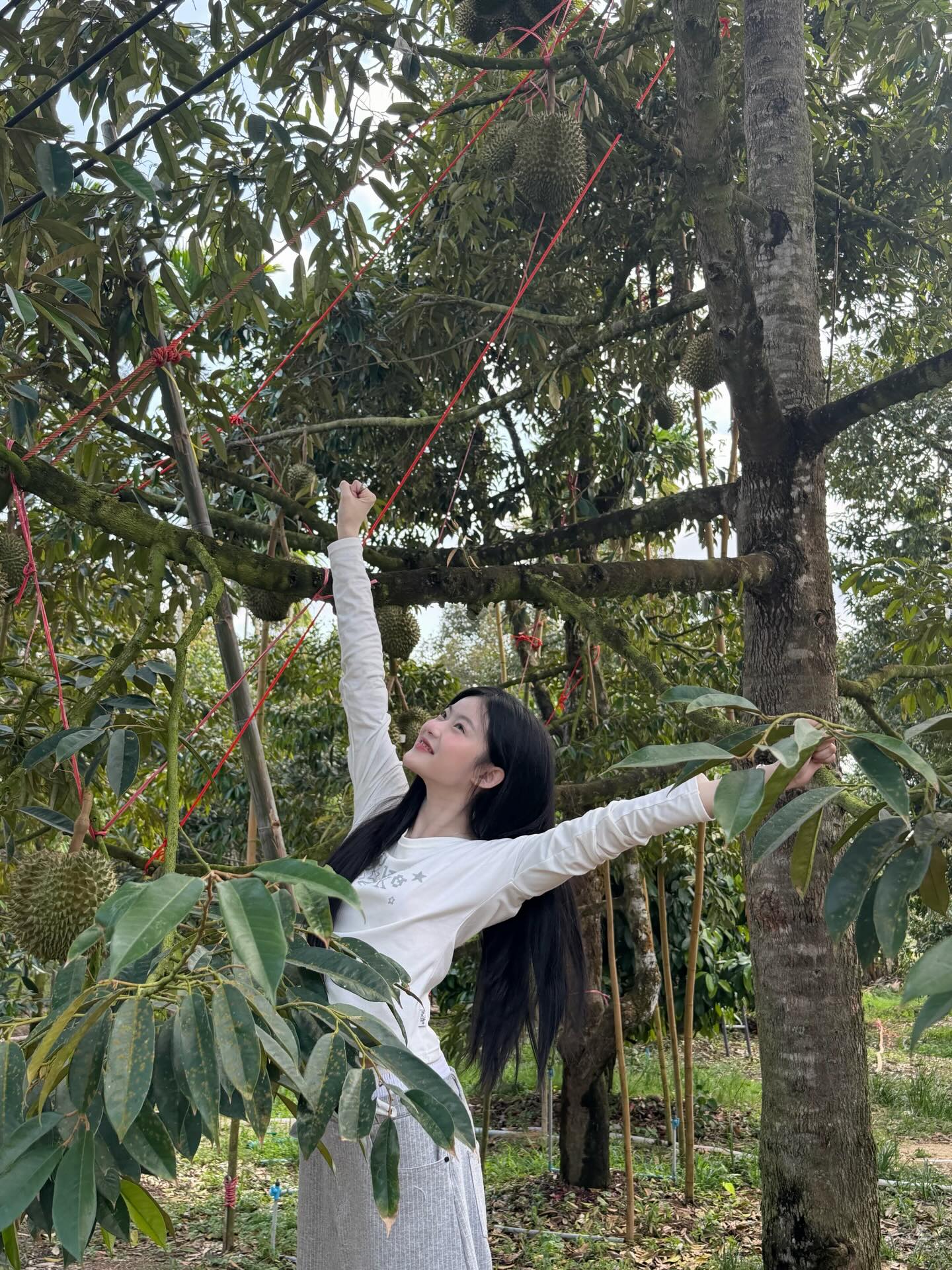 มาเบล - สุชาดา สอนพันธ์