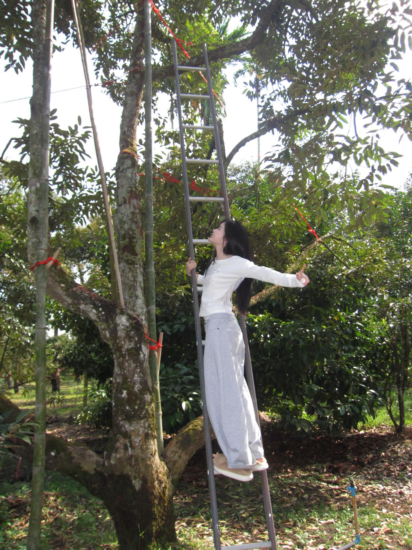 มาเบล - สุชาดา สอนพันธ์