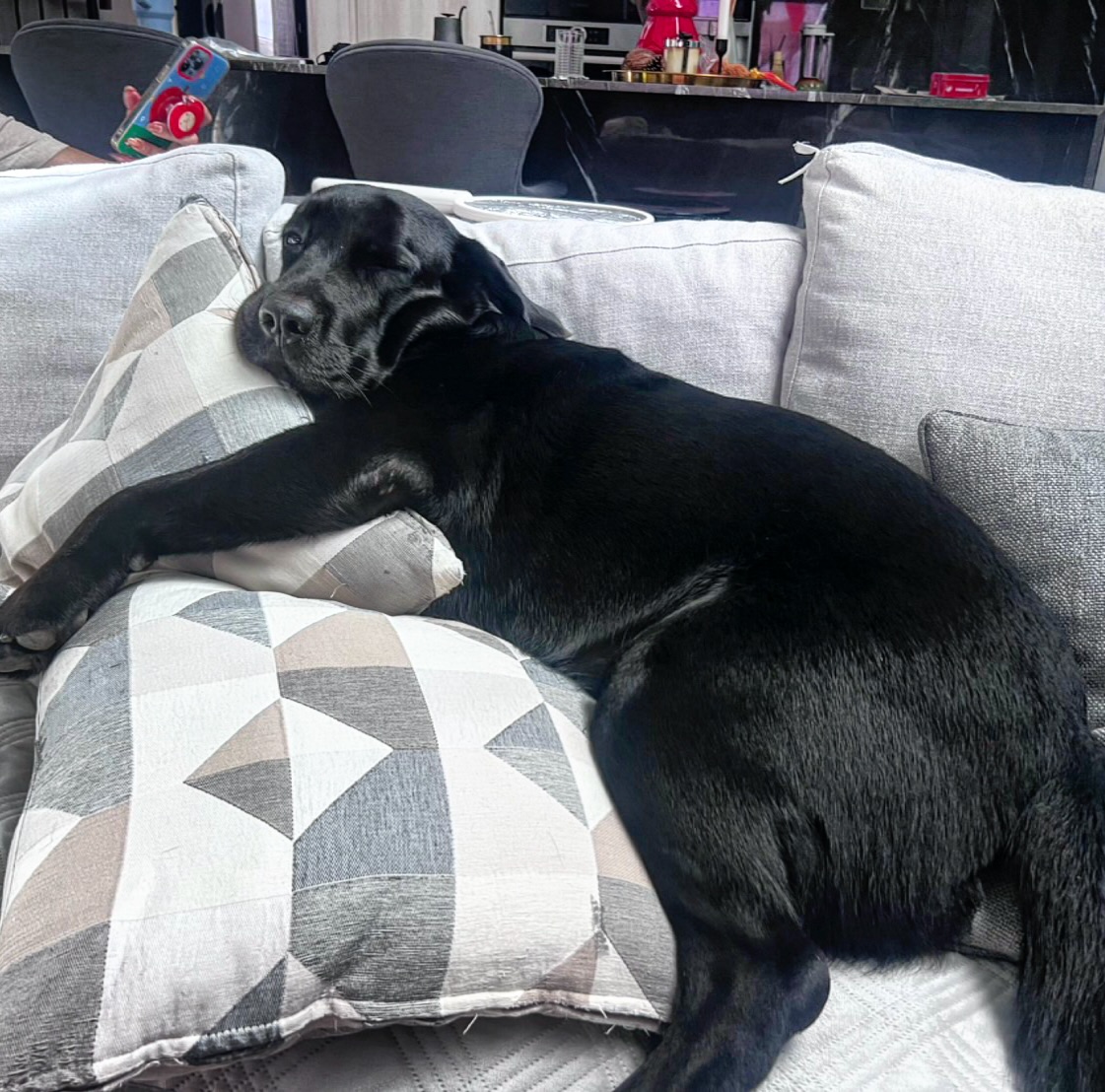 หลุยส์ สก๊อตต์