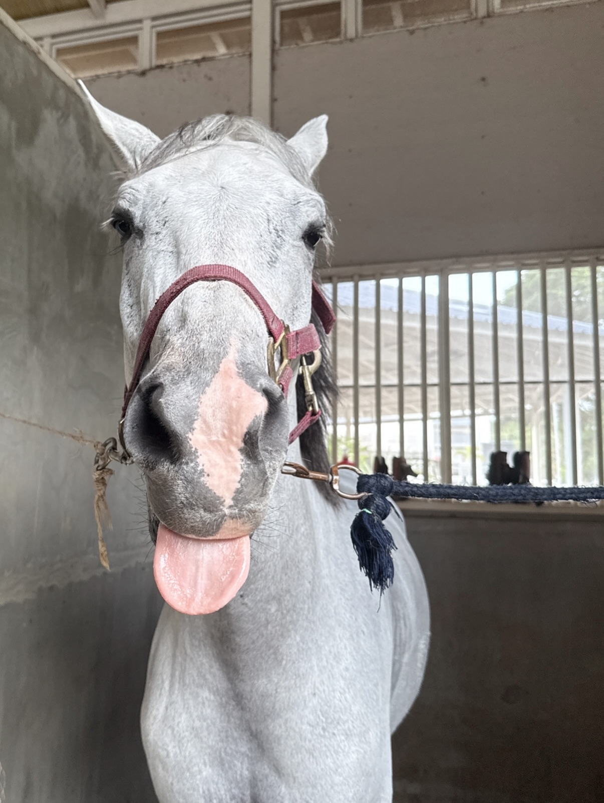 ดาร์ลิ่ง - อารดา อารยวุฒิ