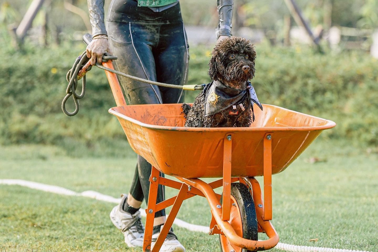 ดาร์ลิ่ง - อารดา อารยวุฒิ