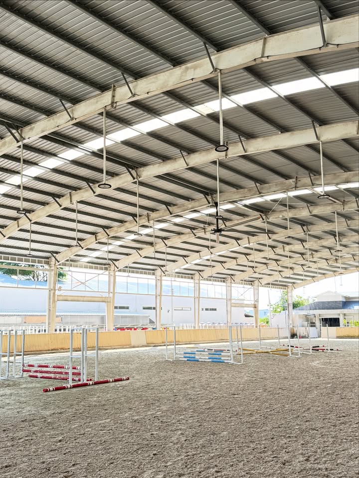 ดาร์ลิ่ง - อารดา อารยวุฒิ