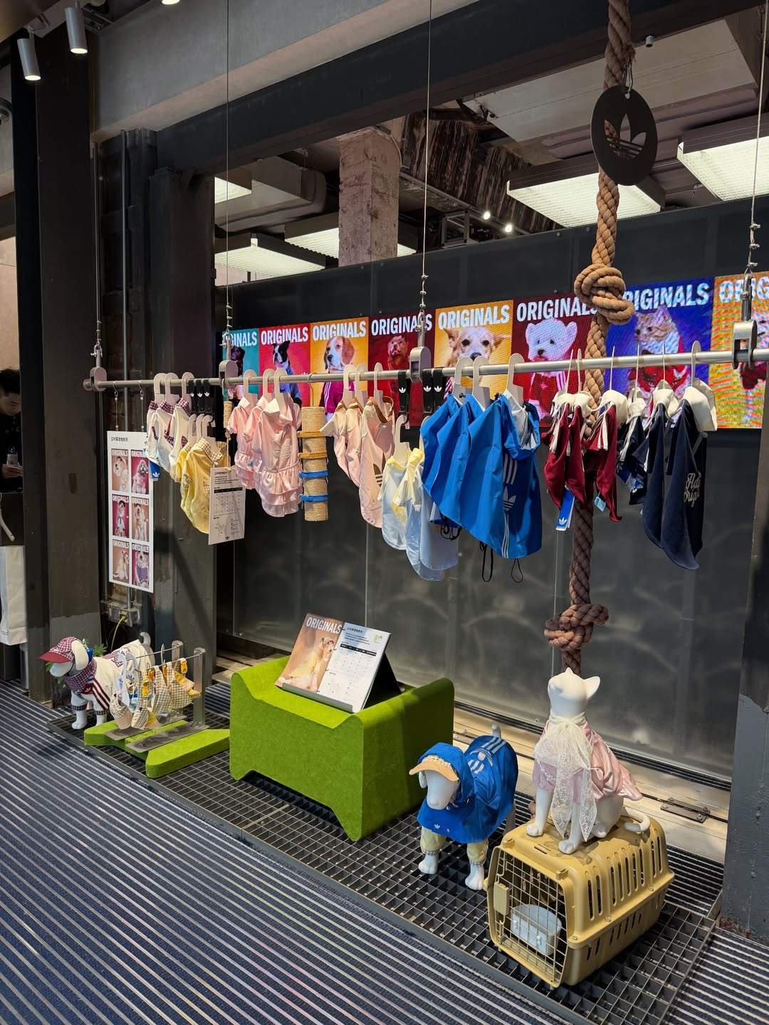 ดาร์ลิ่ง - อารดา อารยวุฒิ