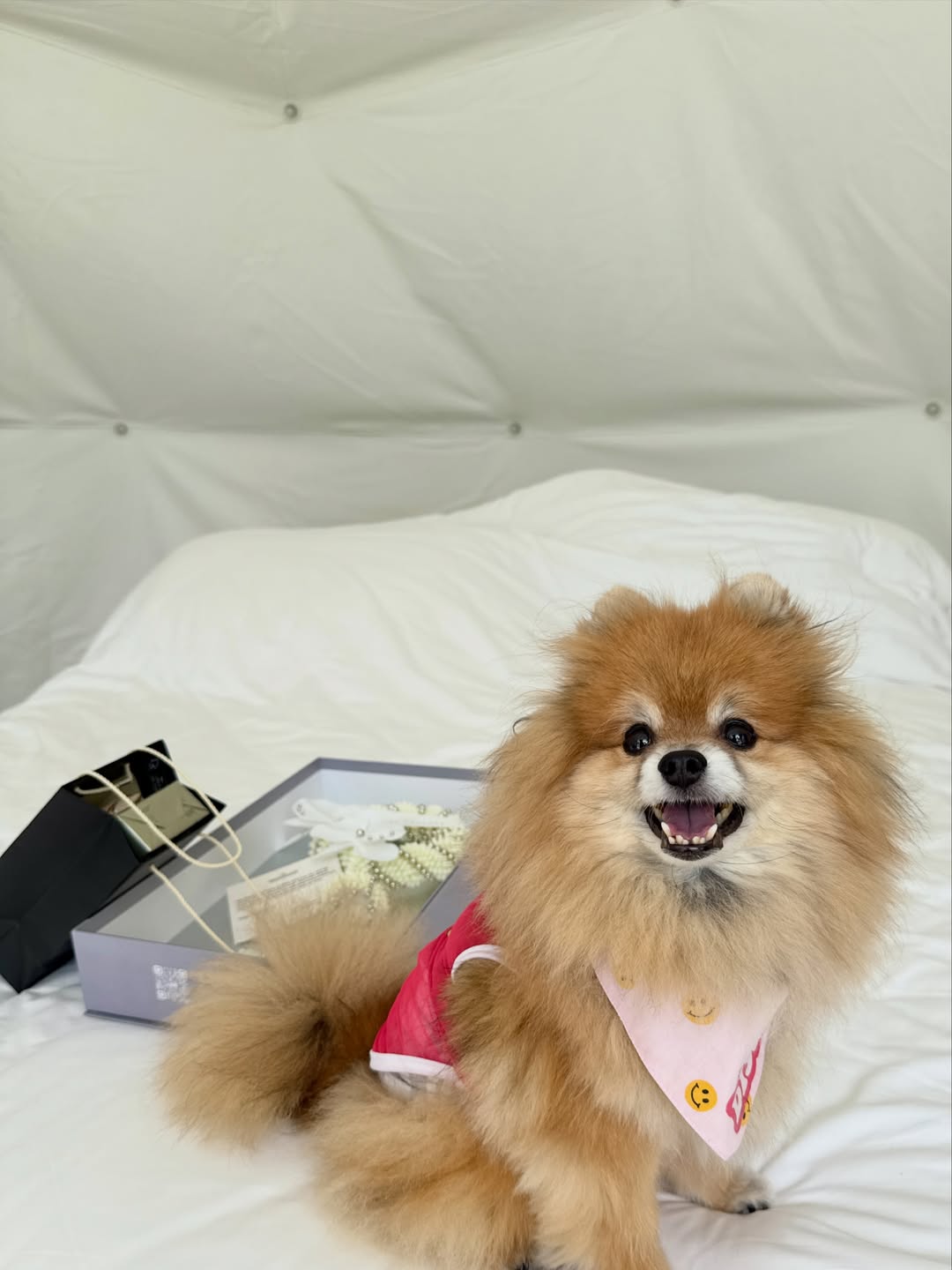 ดาร์ลิ่ง - อารดา อารยวุฒิ