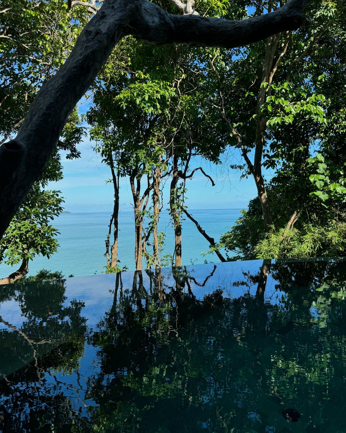 ชิปปี้ - ศิรินทร์ ปรีดียานนท์