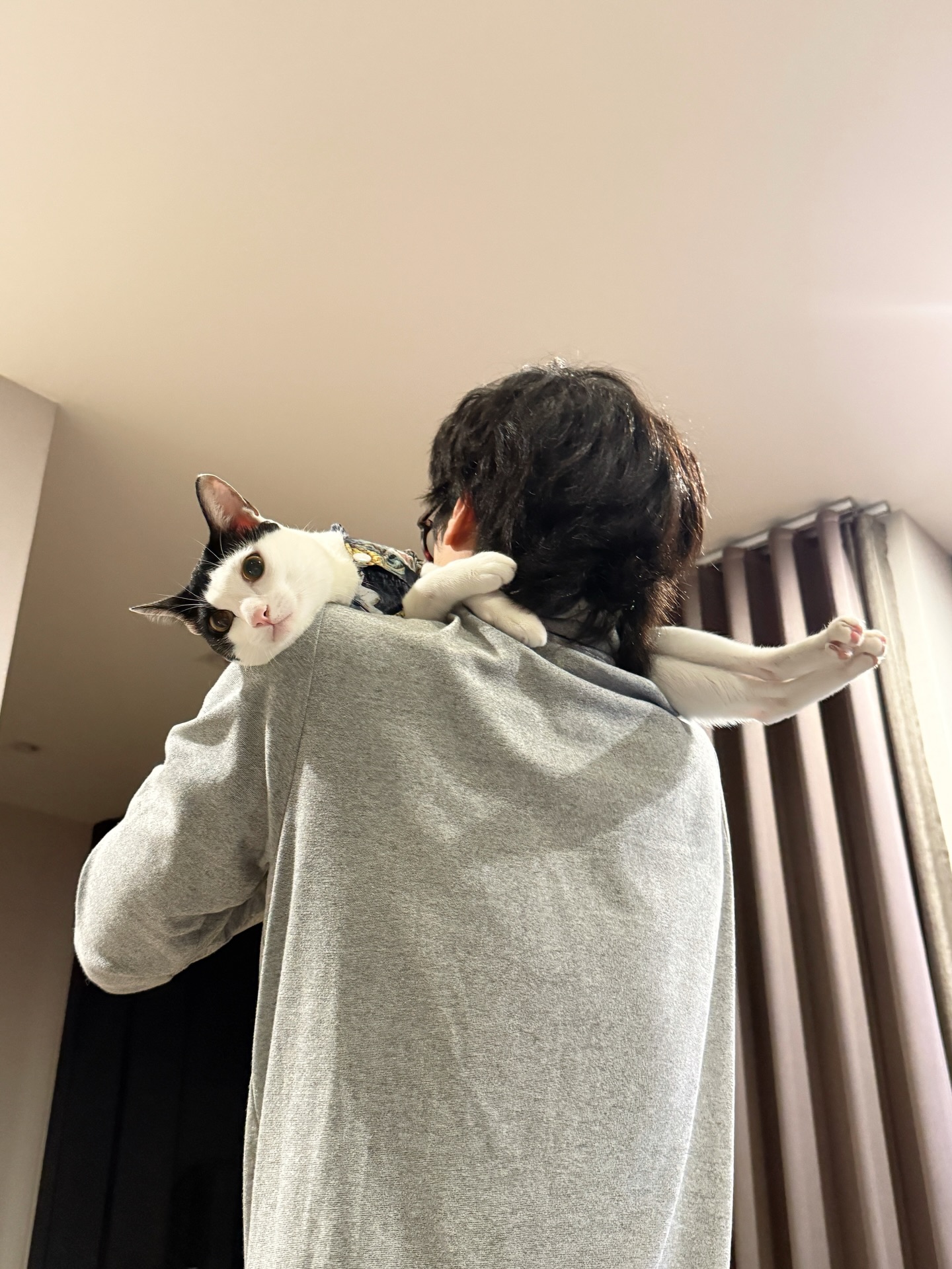 ชิปปี้ - ศิรินทร์ ปรีดียานนท์