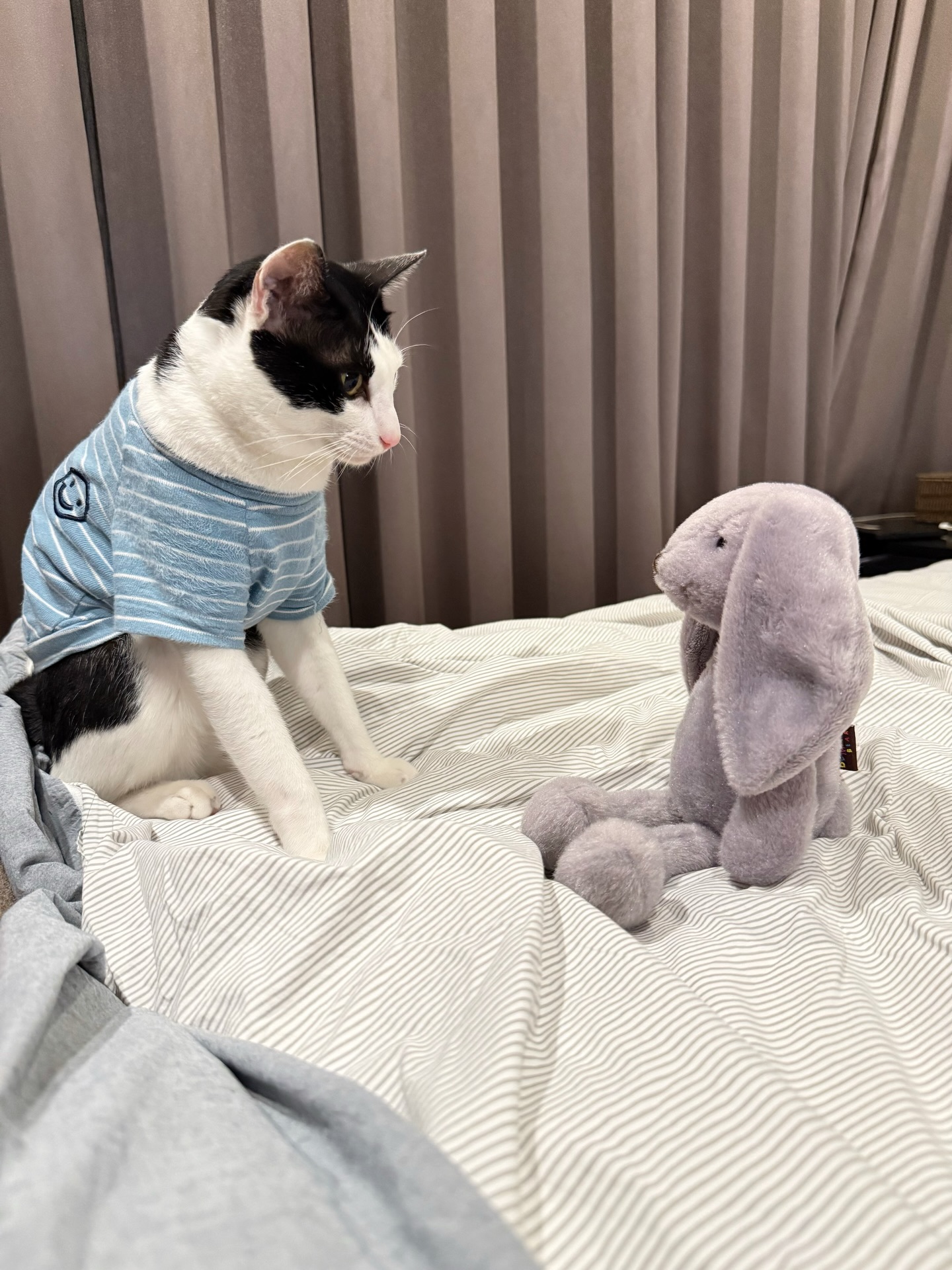 ชิปปี้ - ศิรินทร์ ปรีดียานนท์