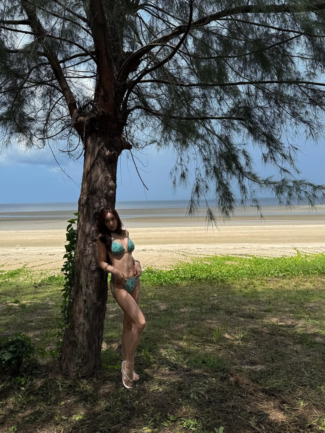 ชิปปี้ - ศิรินทร์ ปรีดียานนท์