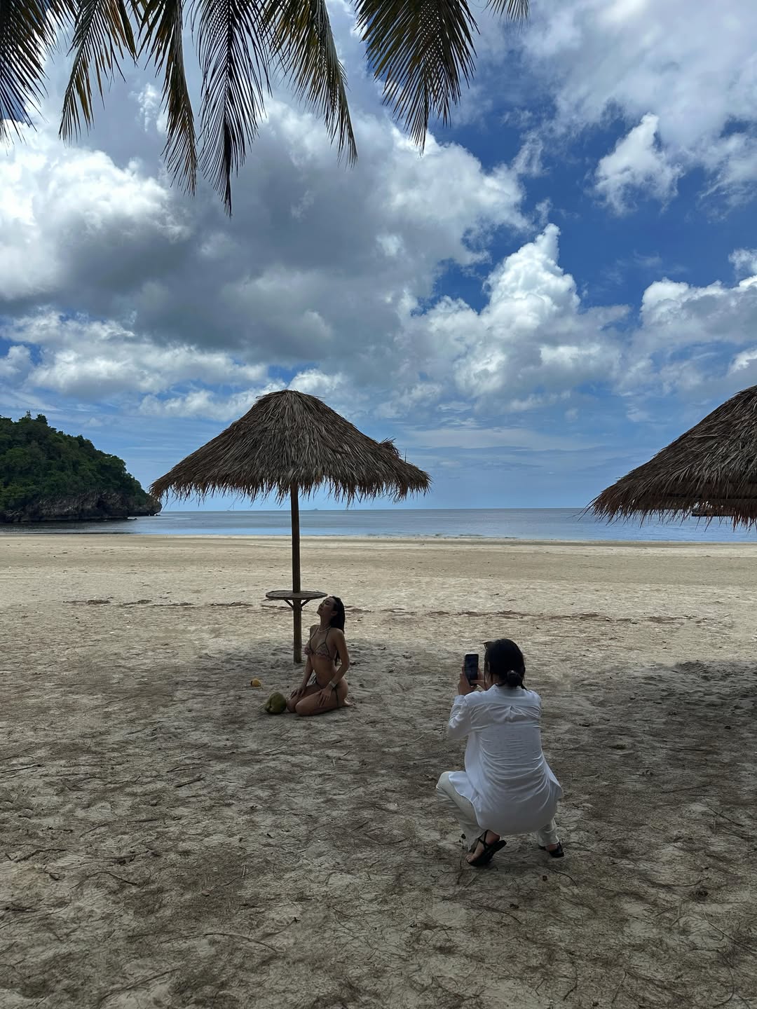 ชิปปี้ - ศิรินทร์ ปรีดียานนท์