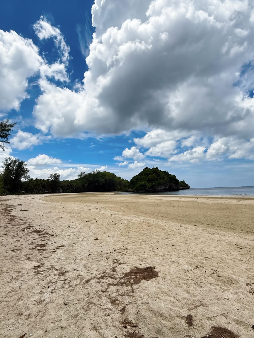 ชิปปี้ - ศิรินทร์ ปรีดียานนท์