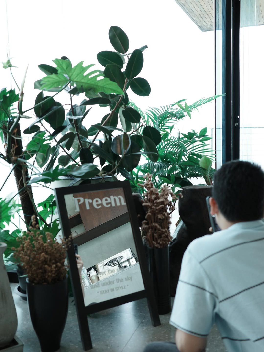 ลิลลี่ - นารีนาท เชื้อแหลม