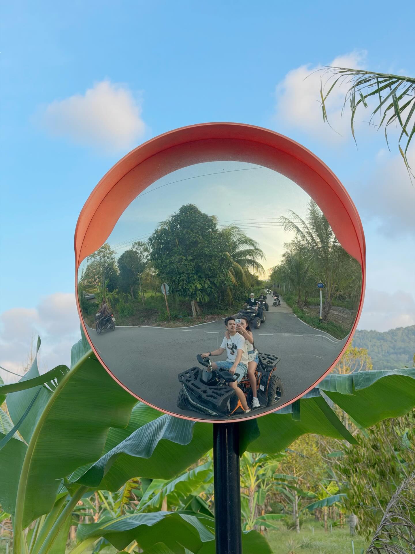 ลิลลี่ - นารีนาท เชื้อแหลม