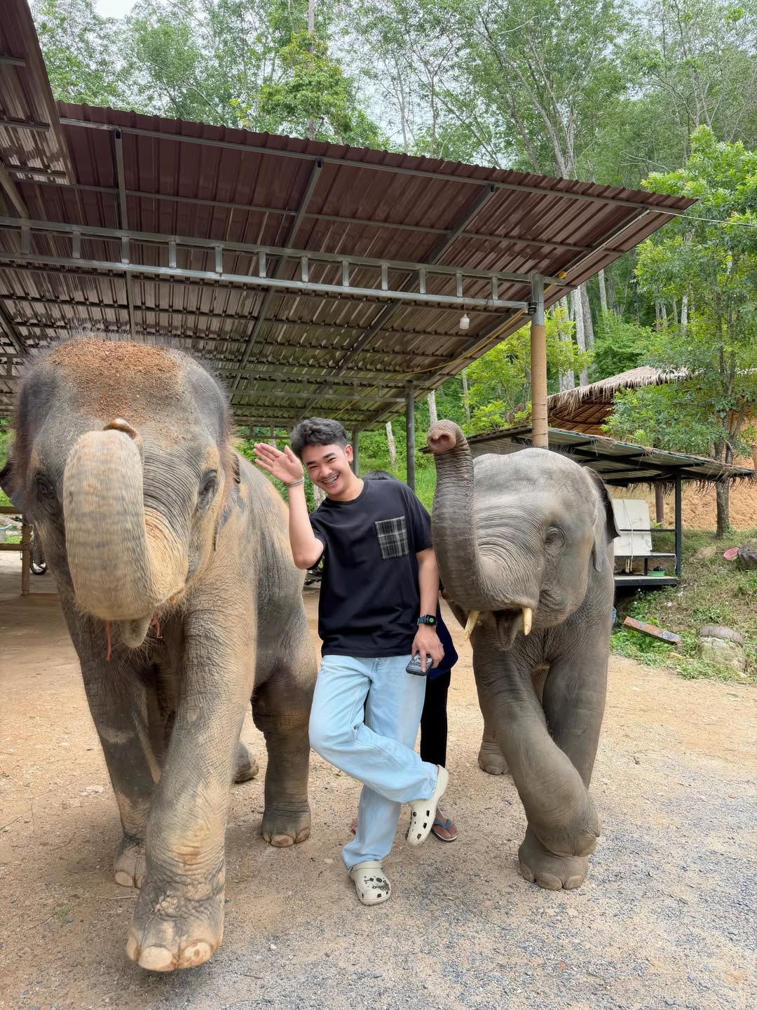 ลิลลี่ - นารีนาท เชื้อแหลม