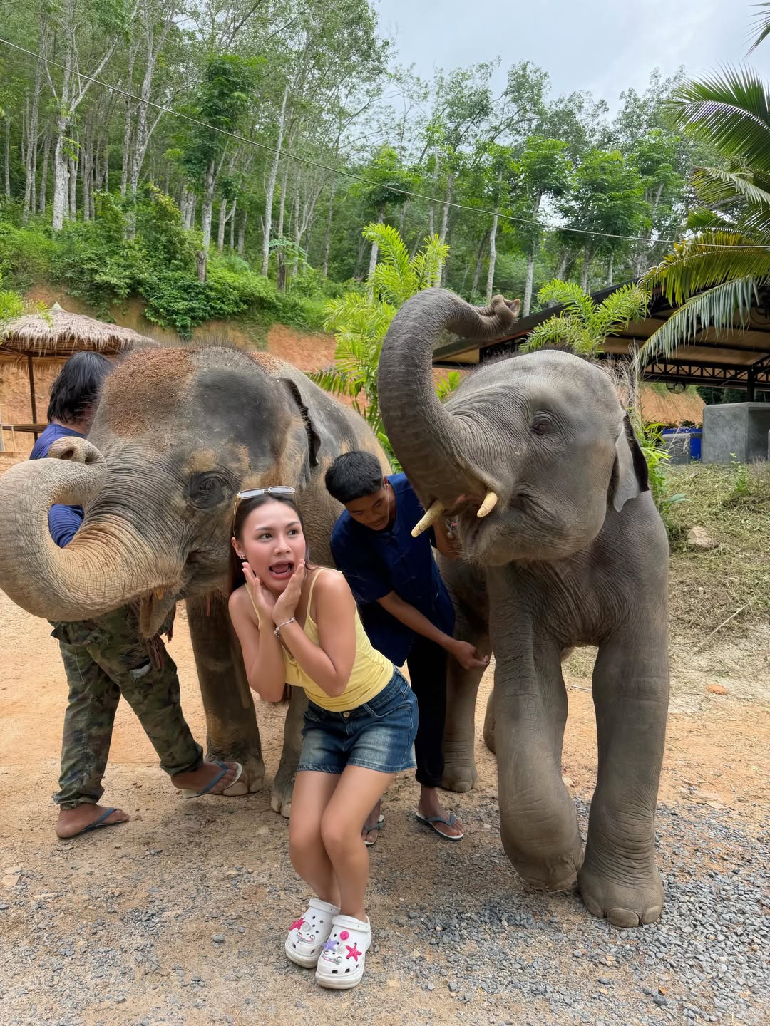 ลิลลี่ - นารีนาท เชื้อแหลม