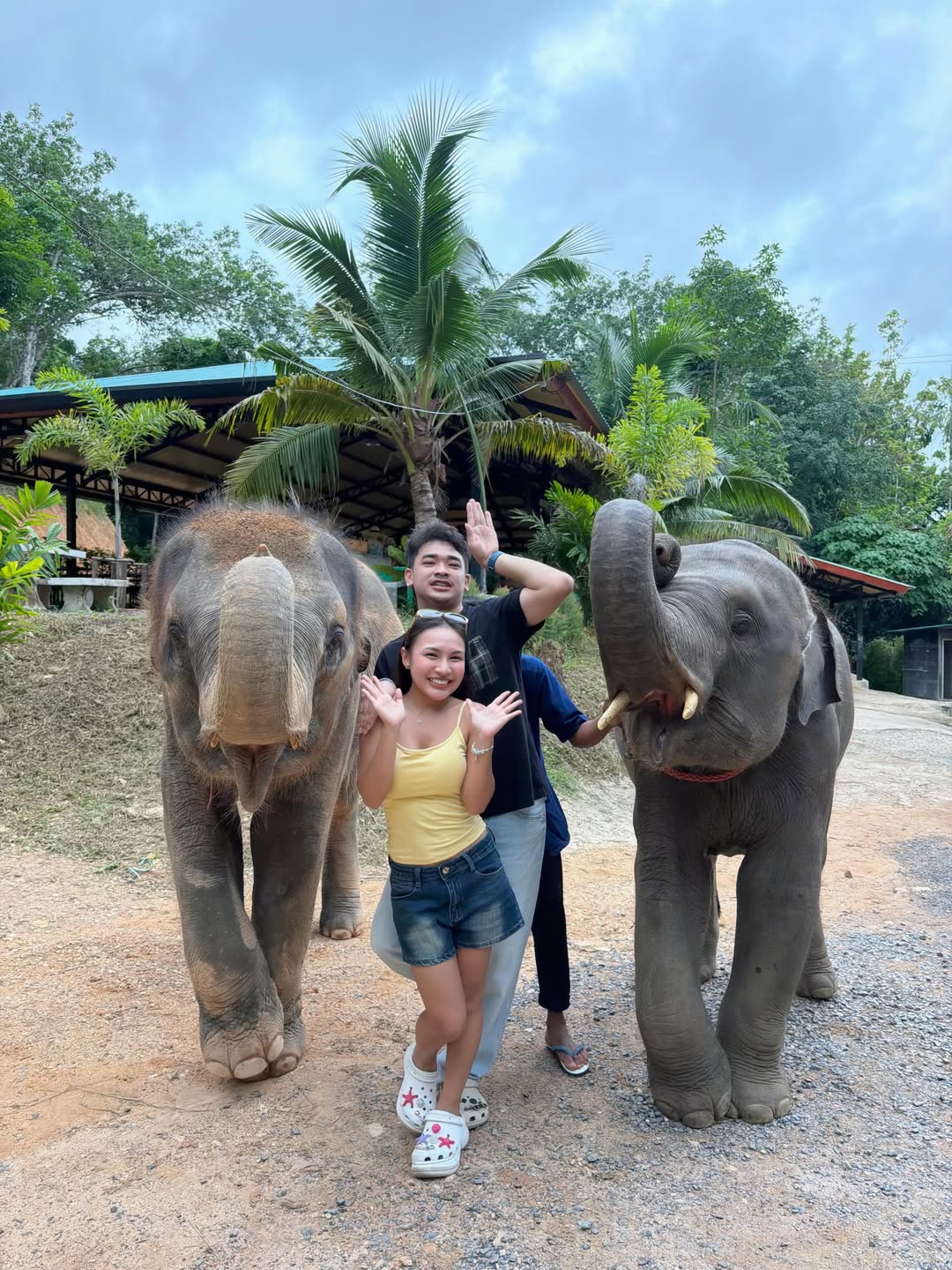 ลิลลี่ - นารีนาท เชื้อแหลม
