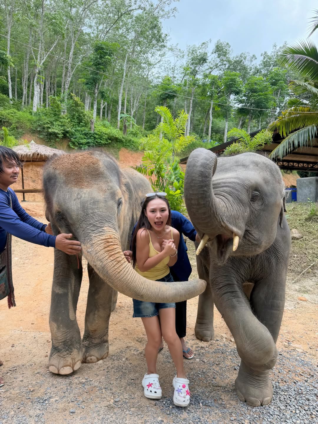 ลิลลี่ - นารีนาท เชื้อแหลม