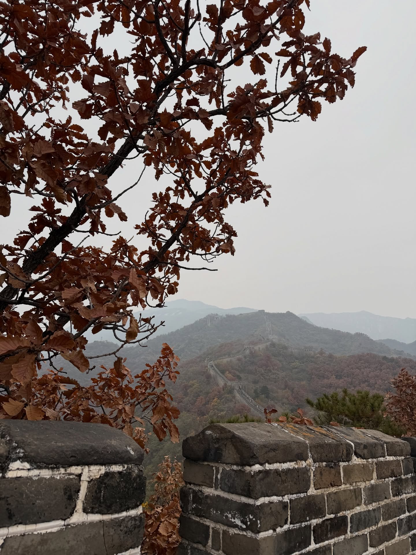 ต้น - ธนษิต จตุรภุช