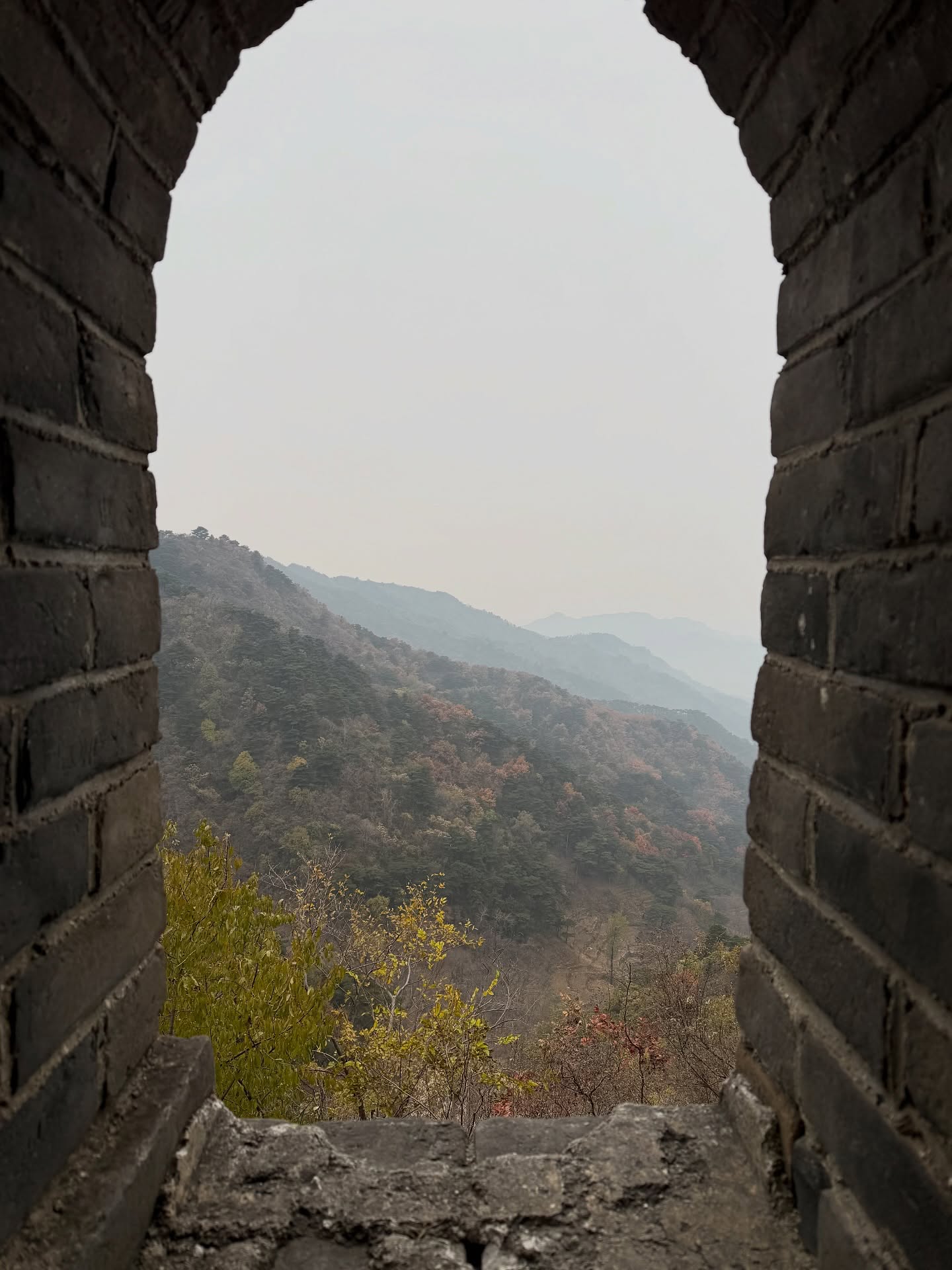 ต้น - ธนษิต จตุรภุช