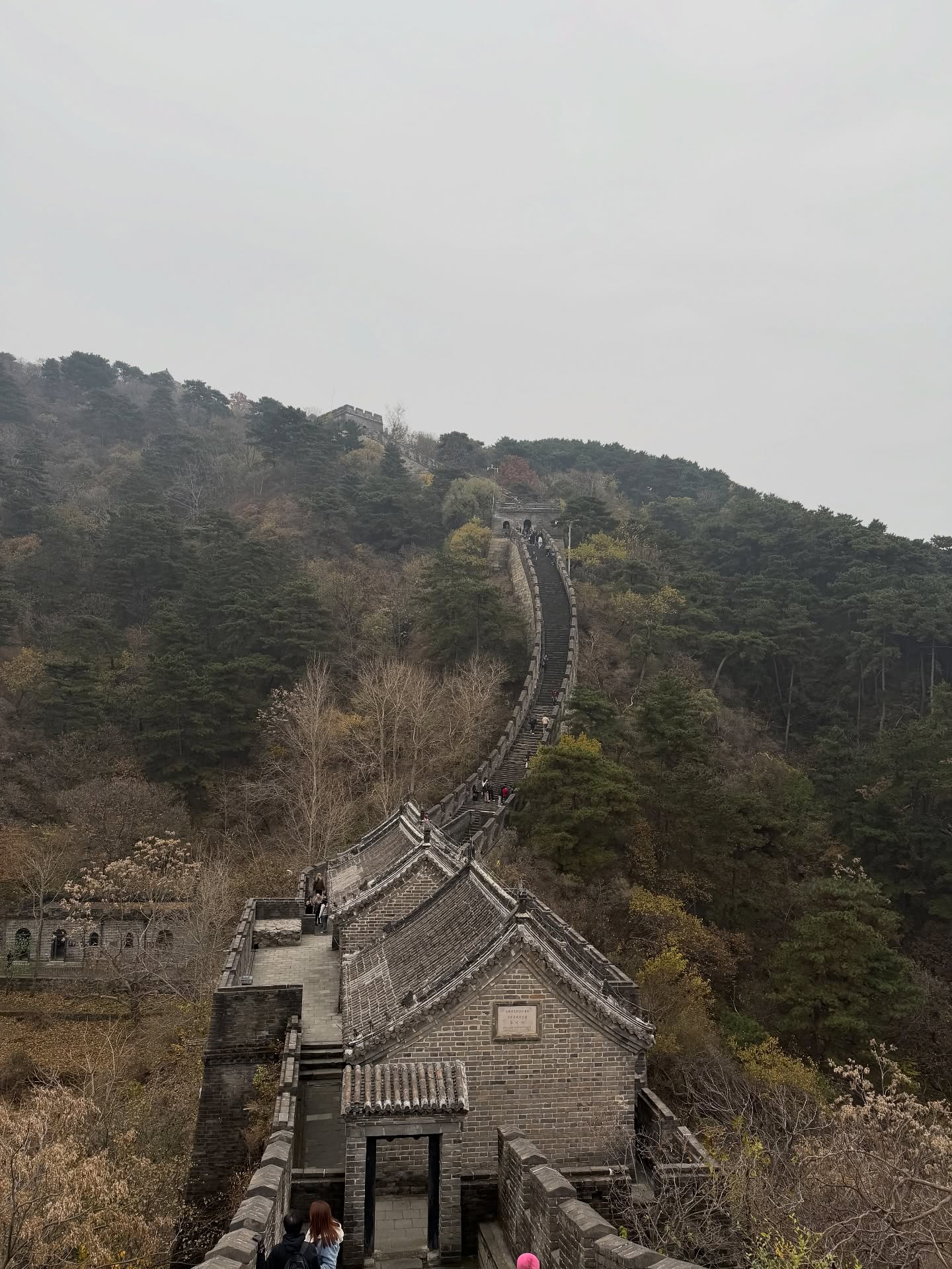 ต้น - ธนษิต จตุรภุช