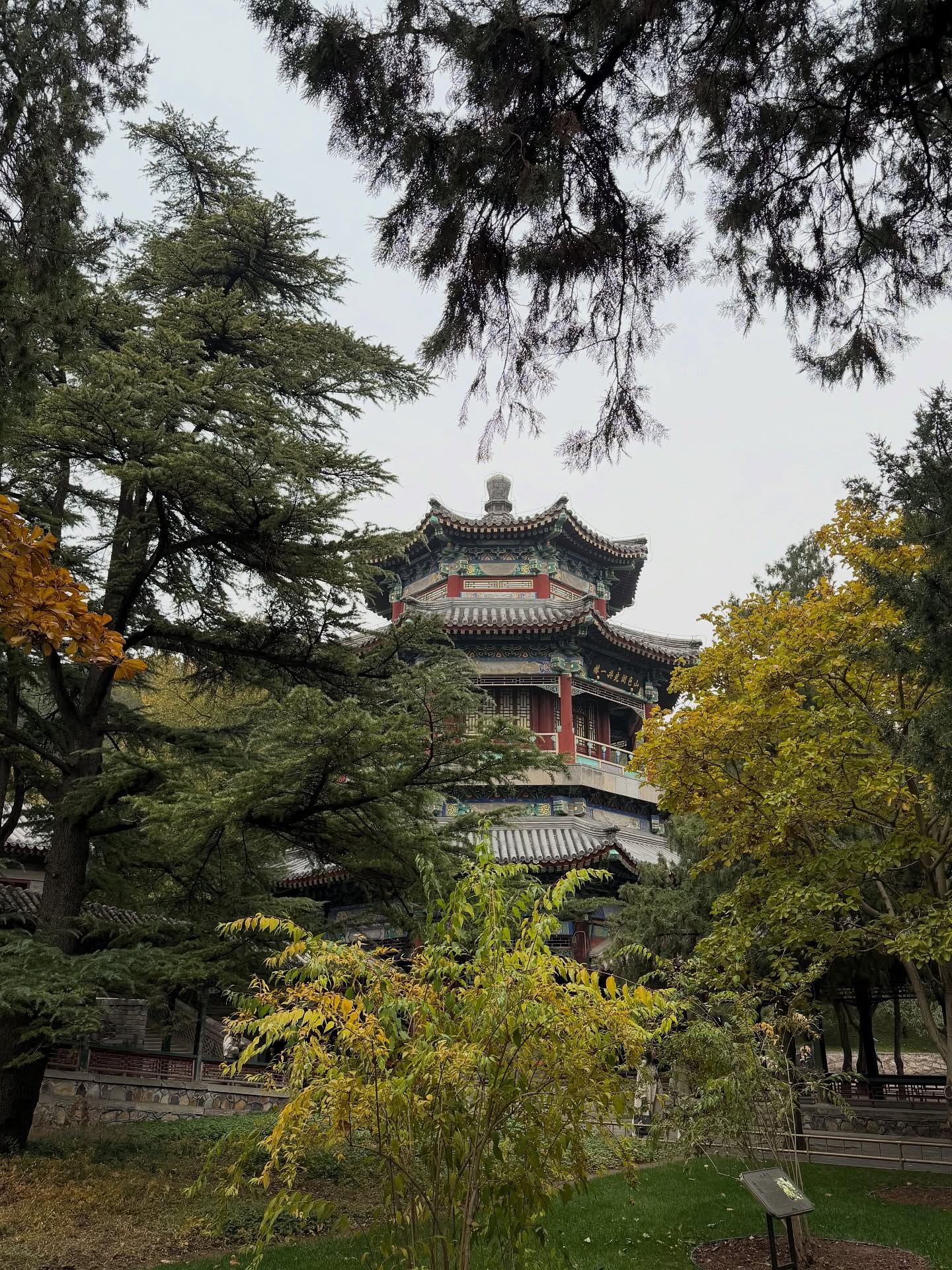 ต้น - ธนษิต จตุรภุช