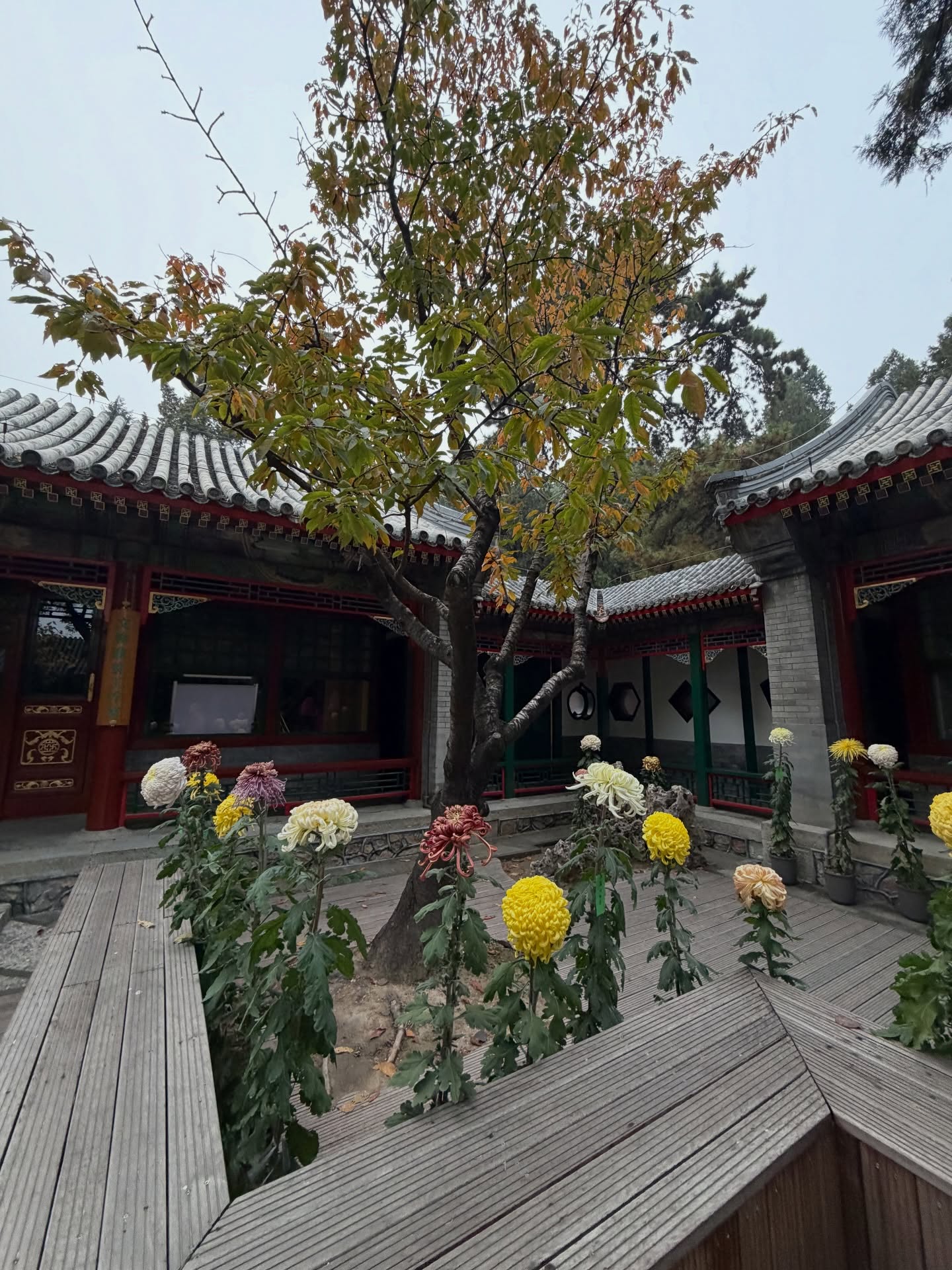 ต้น - ธนษิต จตุรภุช