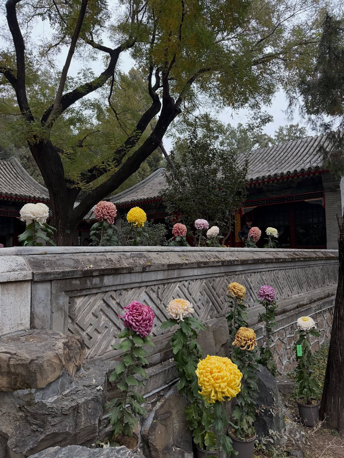 ต้น - ธนษิต จตุรภุช