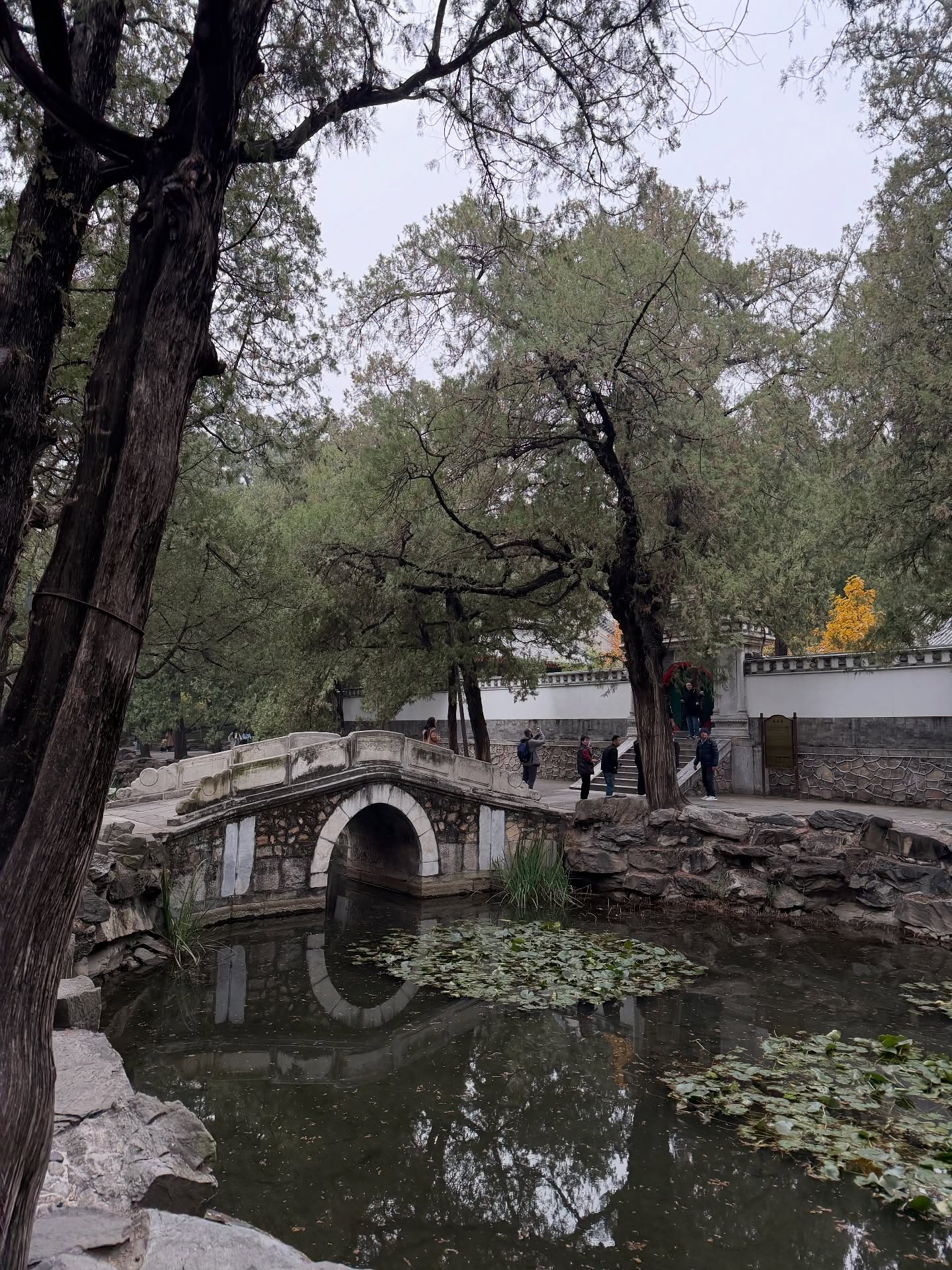 ต้น - ธนษิต จตุรภุช