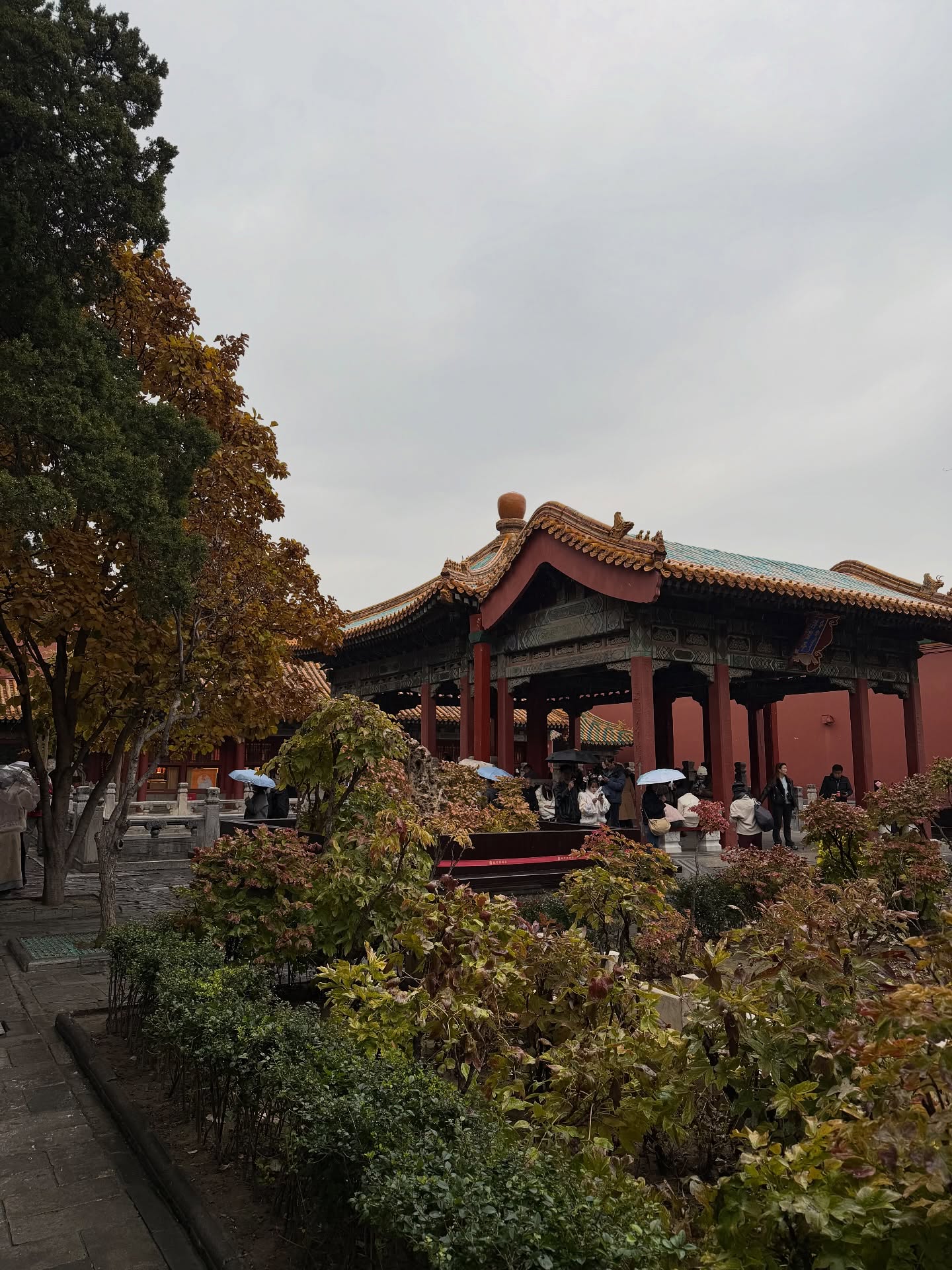 ต้น - ธนษิต จตุรภุช