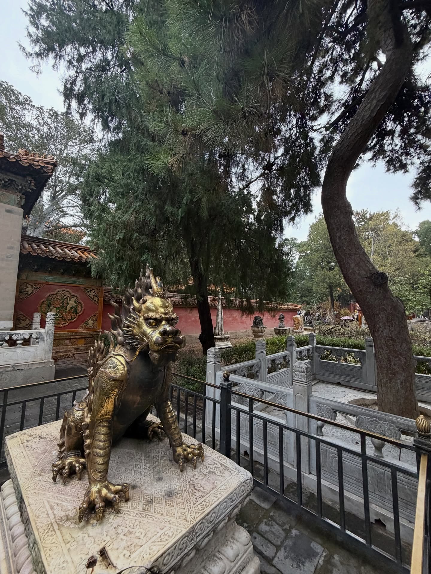 ต้น - ธนษิต จตุรภุช