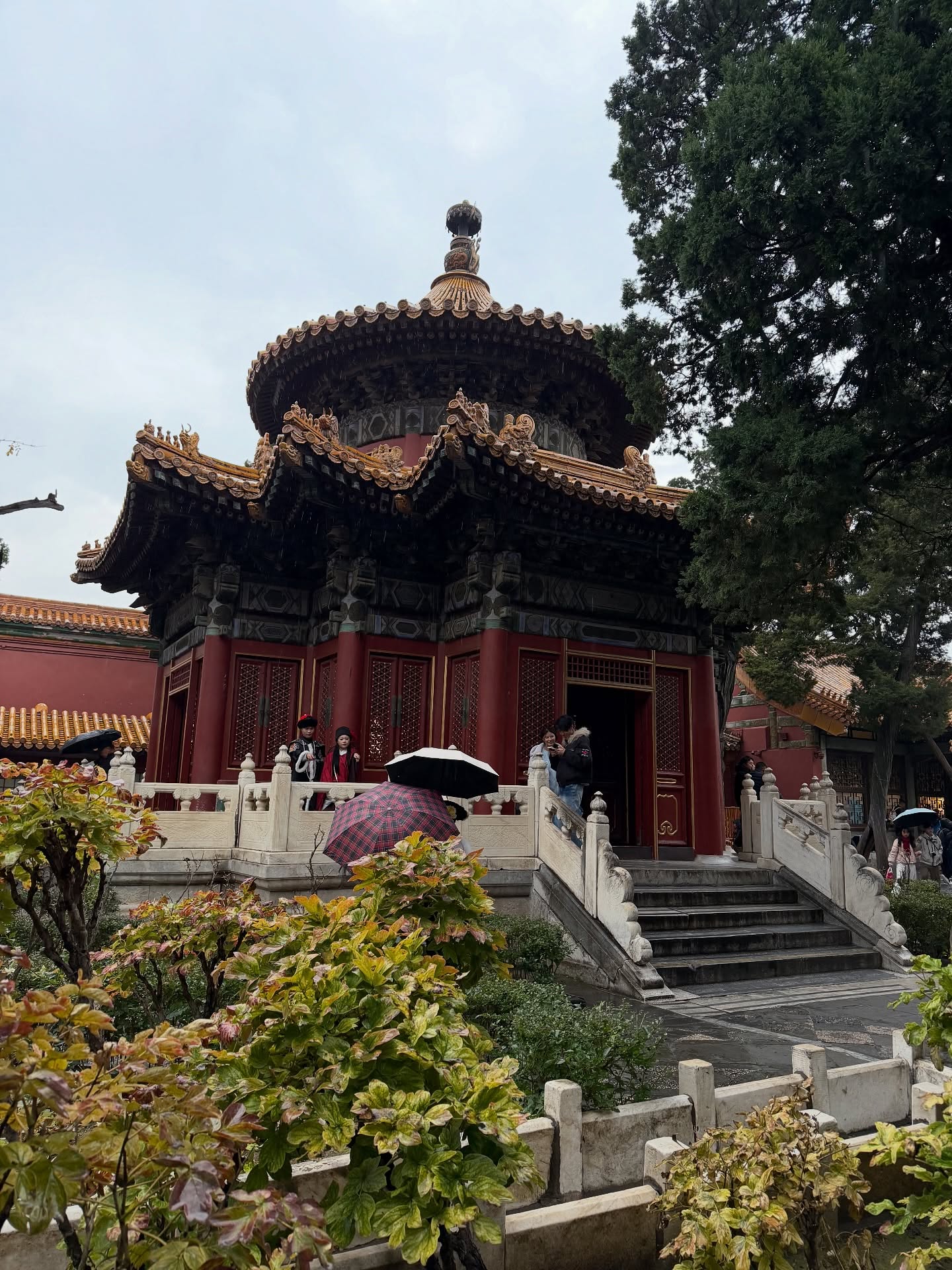 ต้น - ธนษิต จตุรภุช