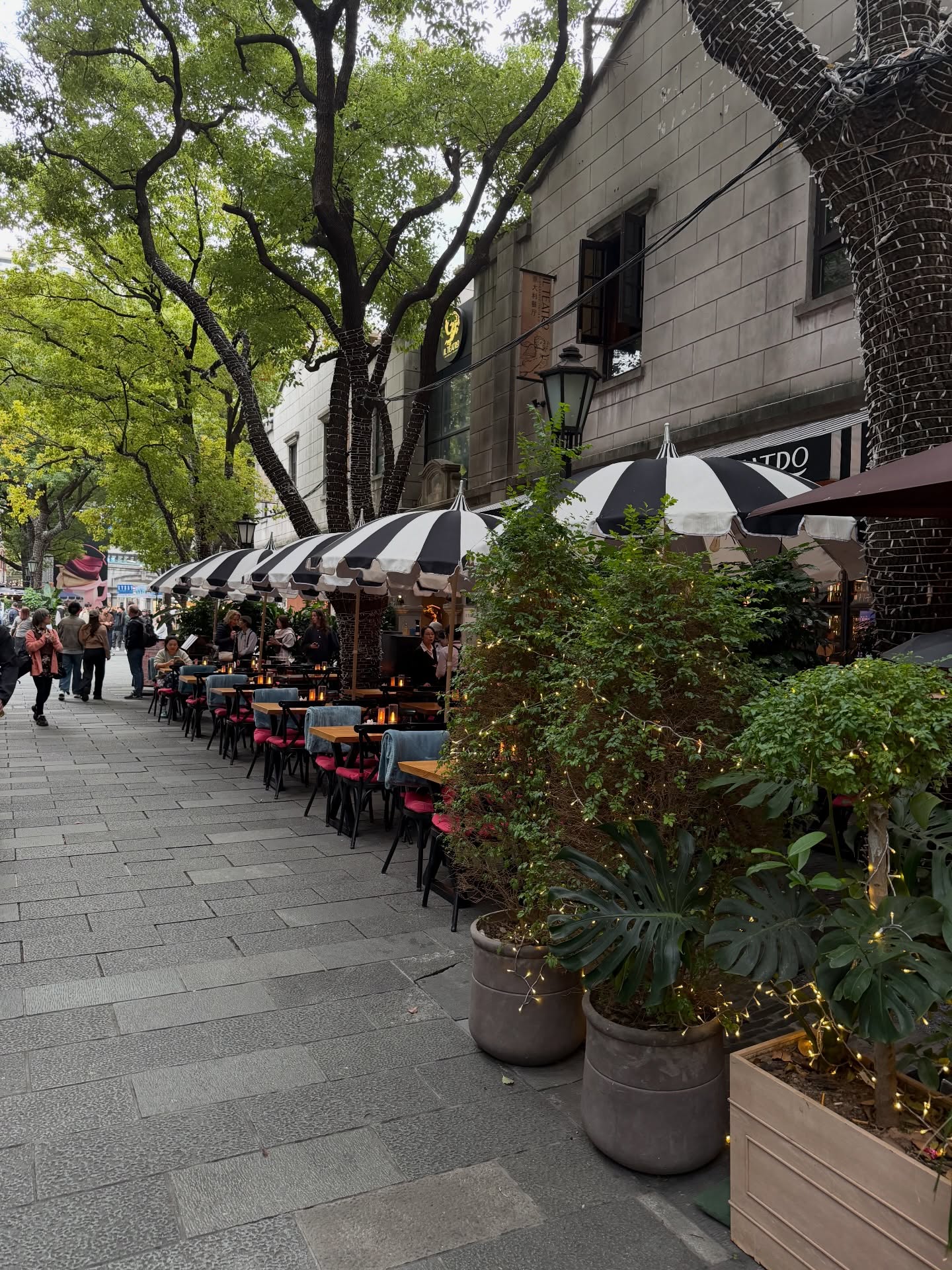 ต้น - ธนษิต จตุรภุช