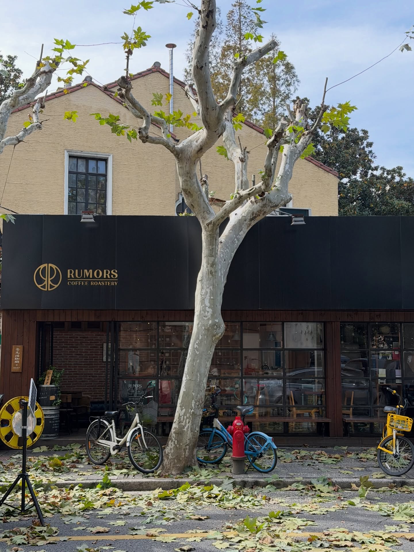 ต้น - ธนษิต จตุรภุช