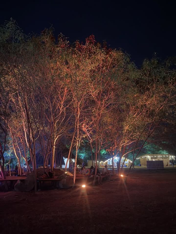 ต้น - ธนษิต จตุรภุช