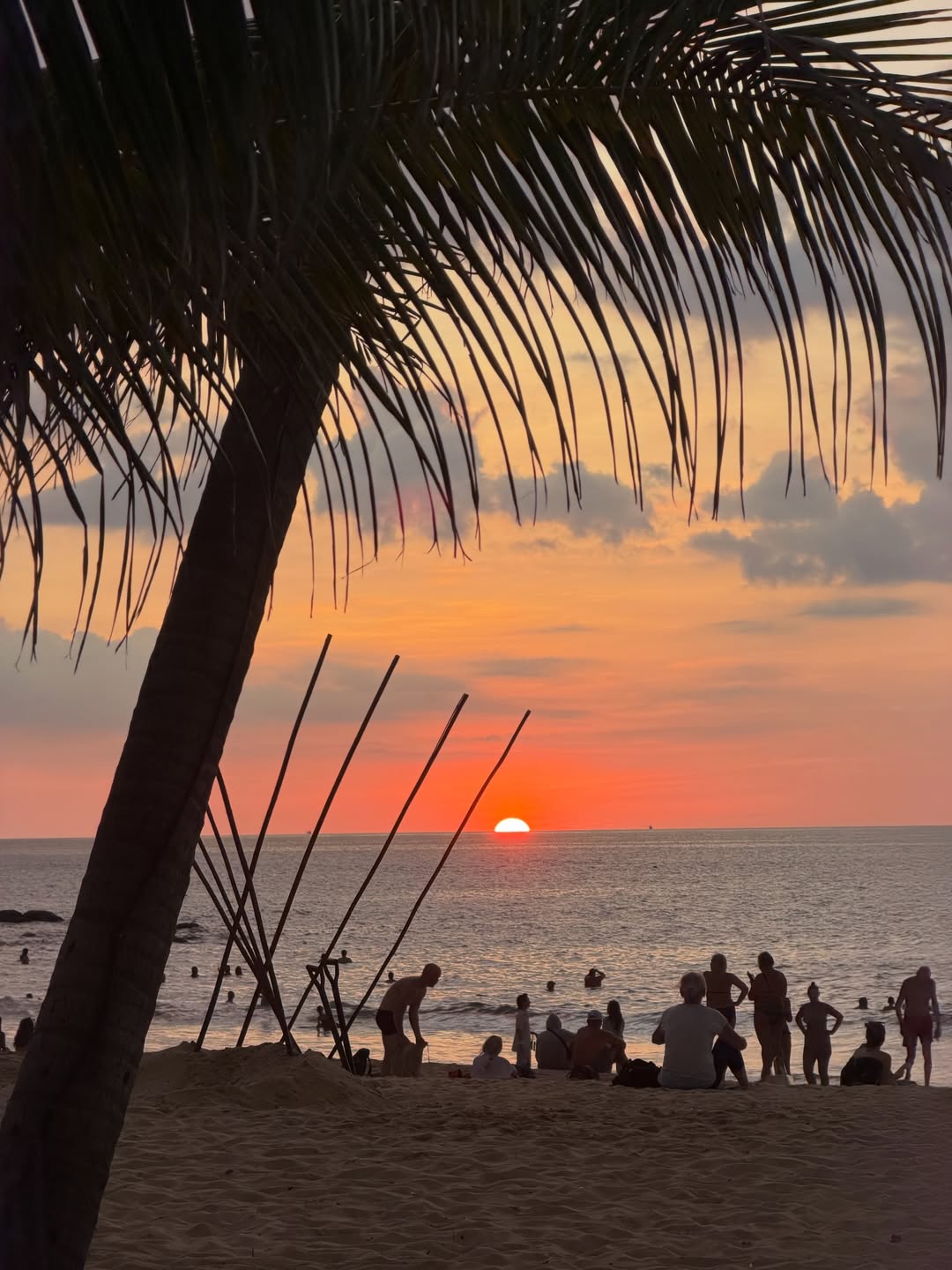 ต้น - ธนษิต จตุรภุช