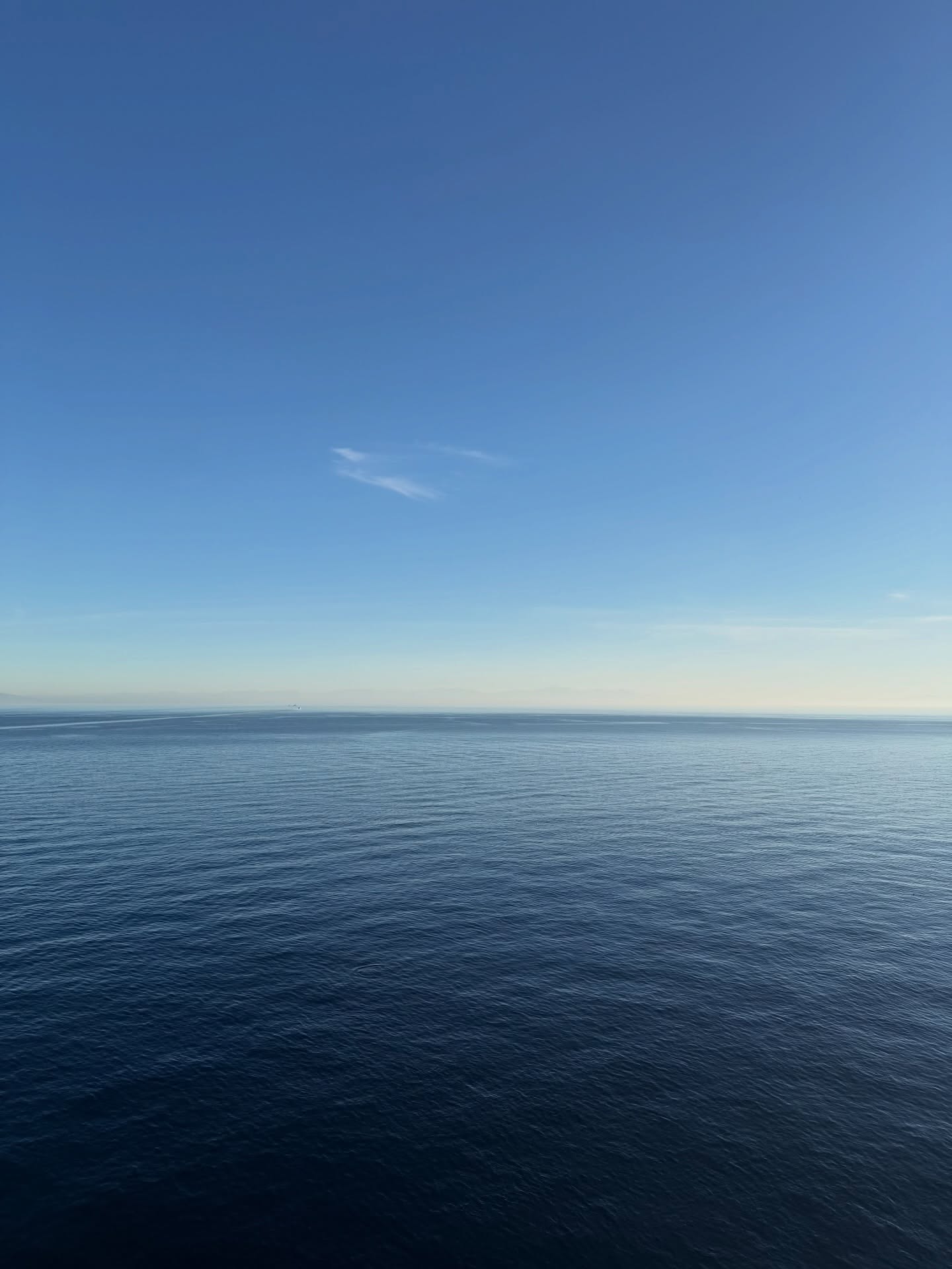 ต้น - ธนษิต จตุรภุช