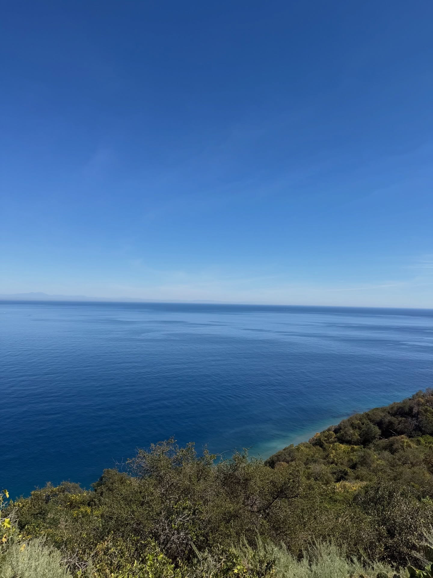 ต้น - ธนษิต จตุรภุช