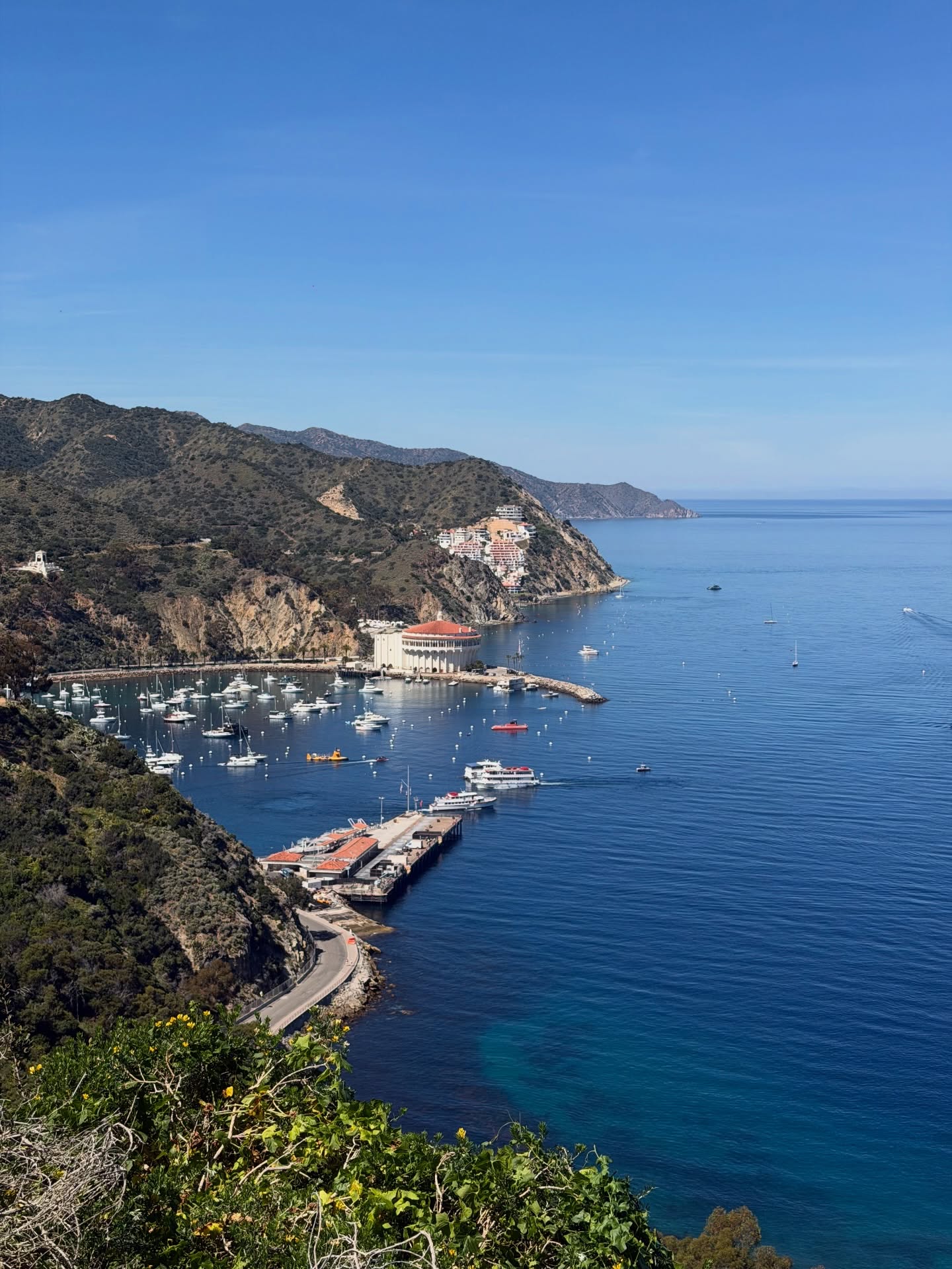 ต้น - ธนษิต จตุรภุช