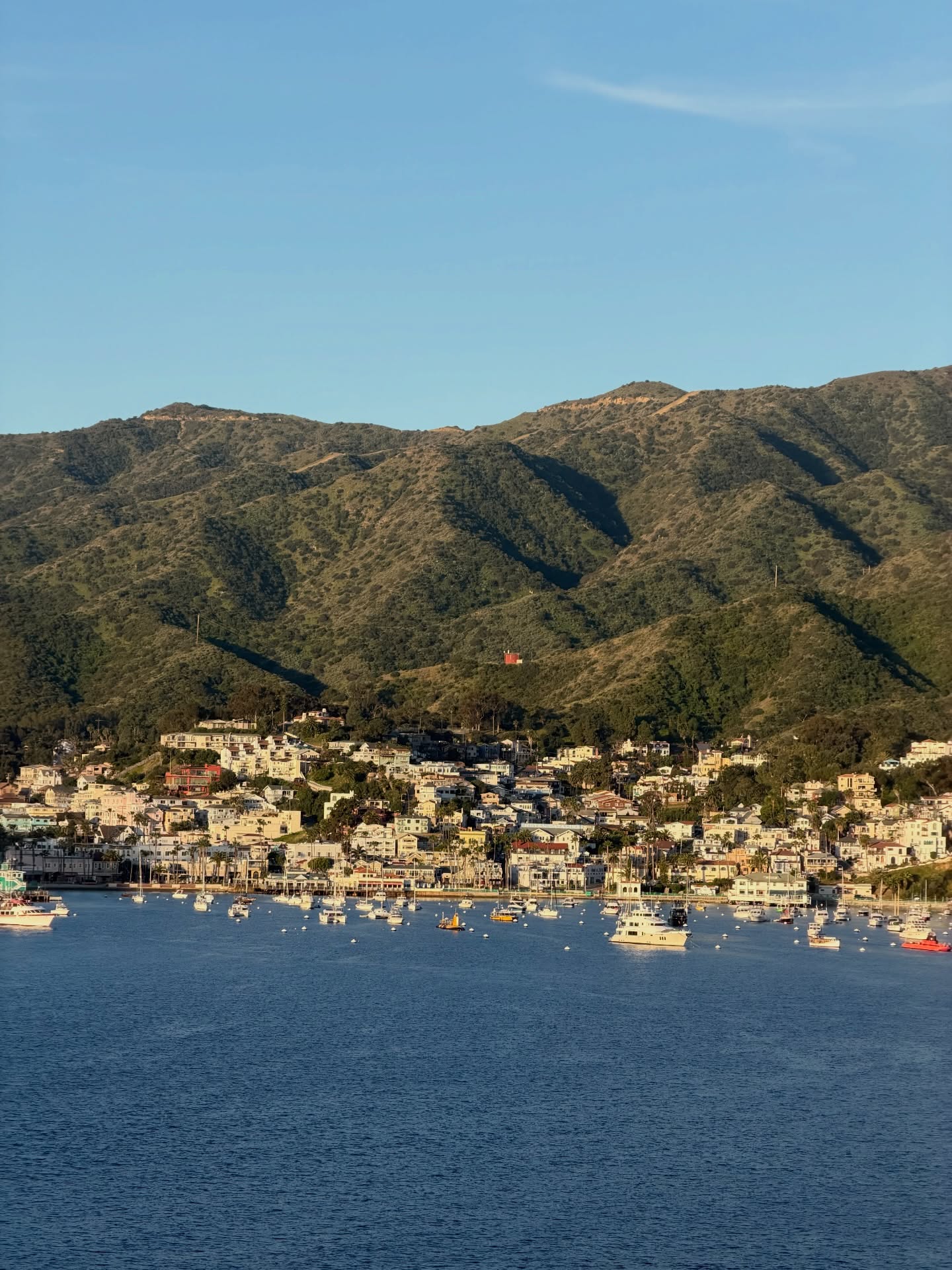 ต้น - ธนษิต จตุรภุช