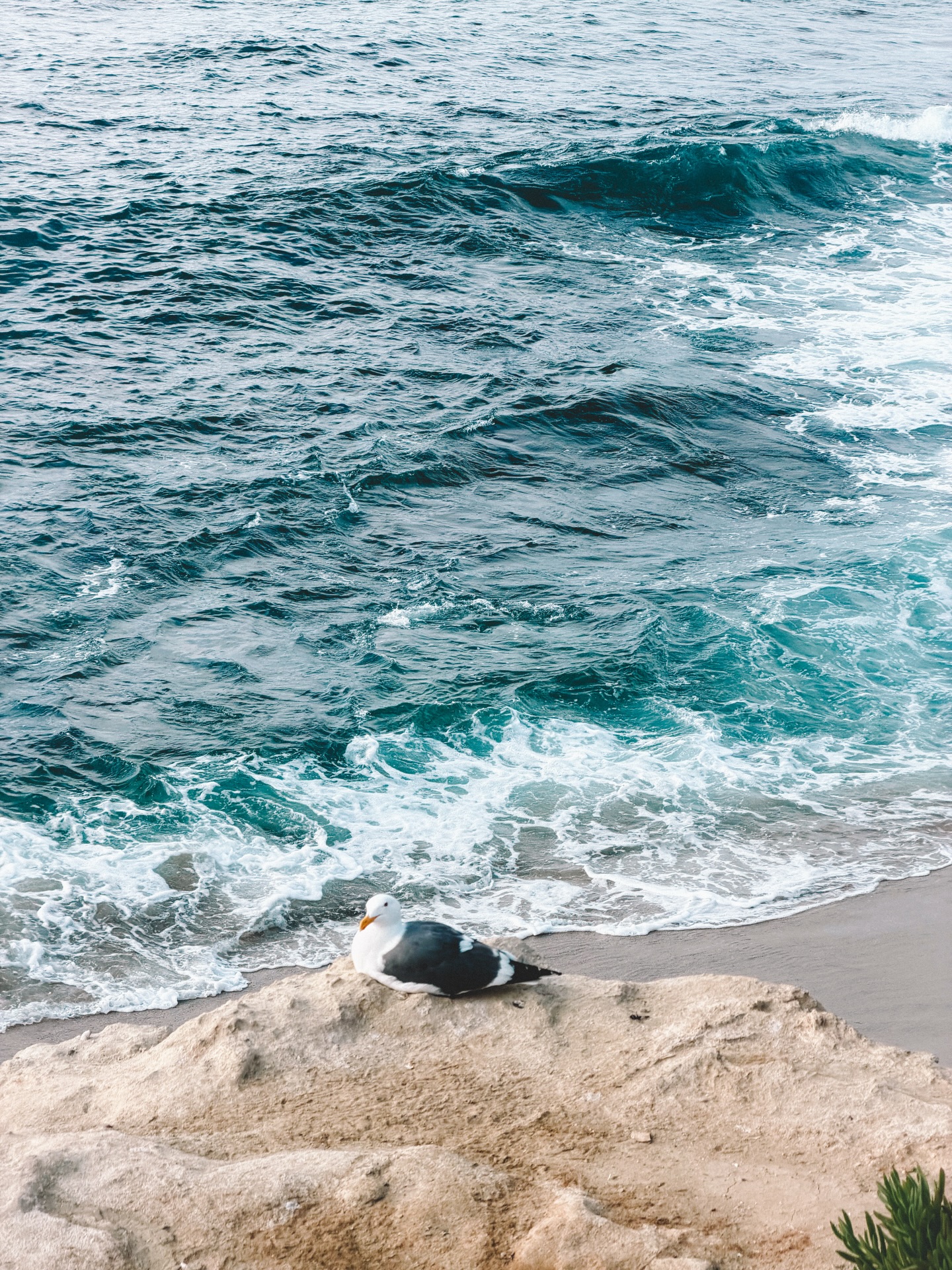 ต้น - ธนษิต จตุรภุช