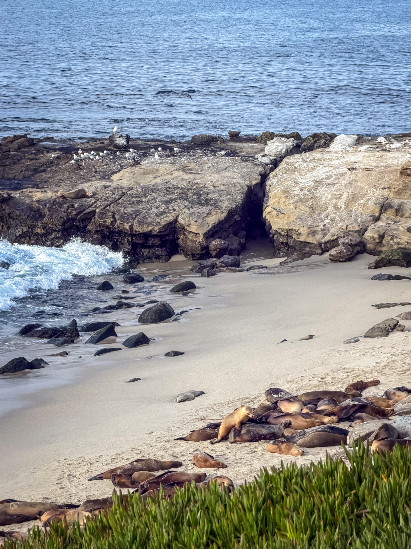 ต้น - ธนษิต จตุรภุช