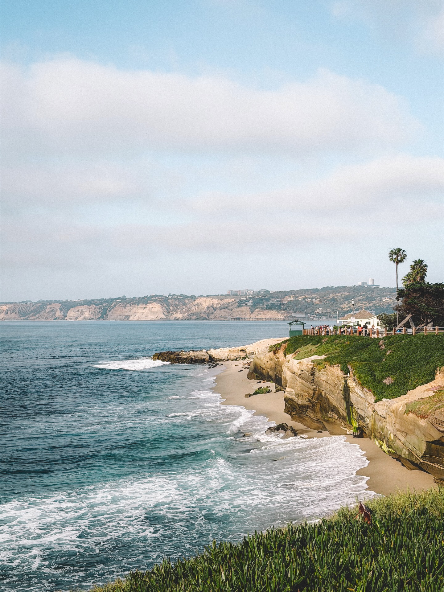 ต้น - ธนษิต จตุรภุช