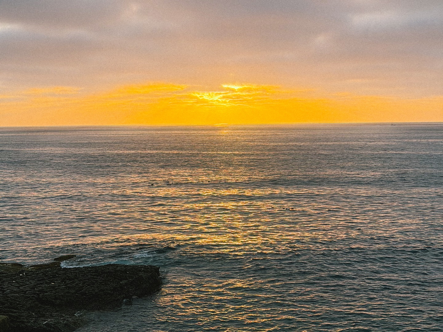 ต้น - ธนษิต จตุรภุช