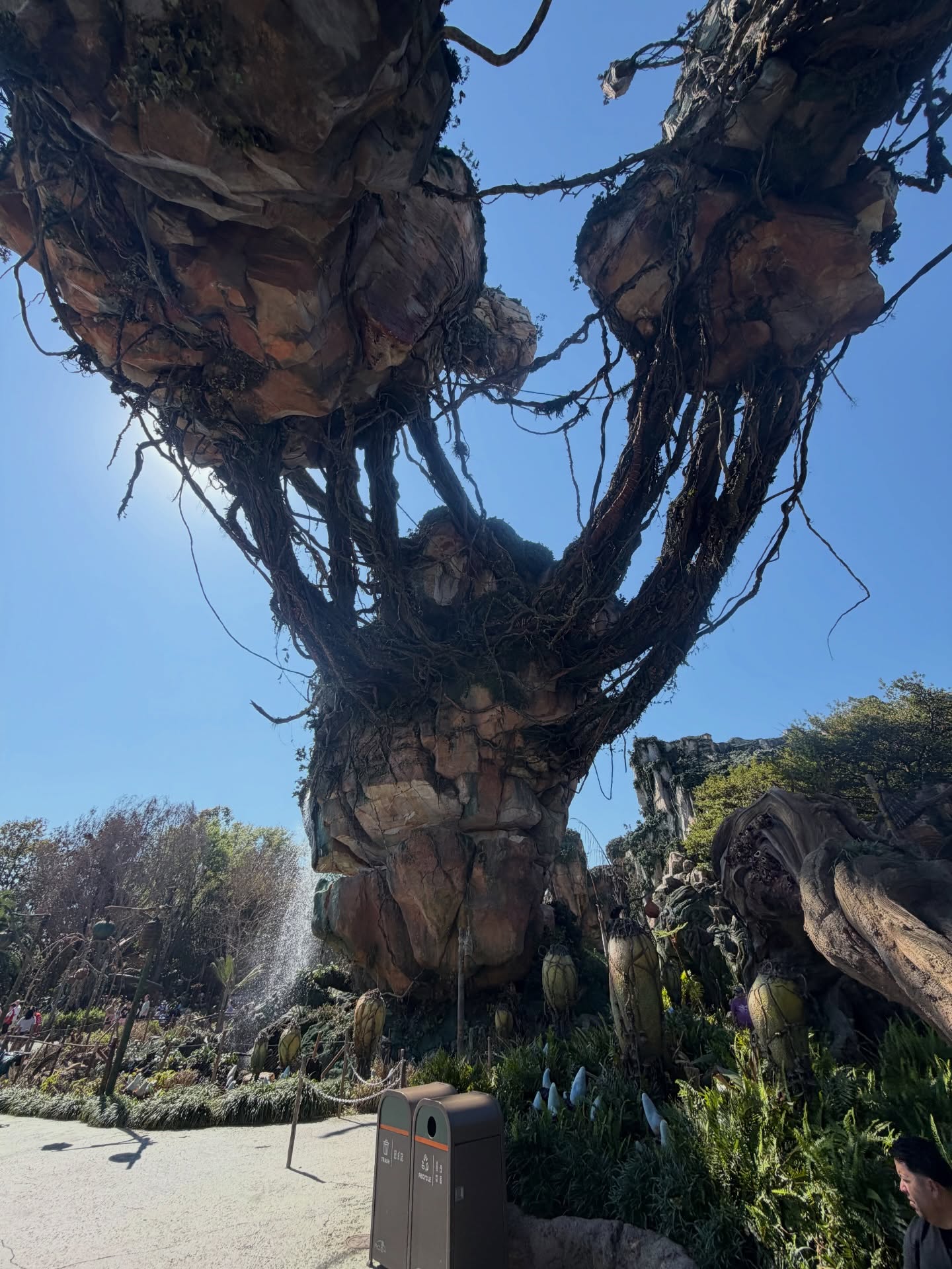 ต้น - ธนษิต จตุรภุช