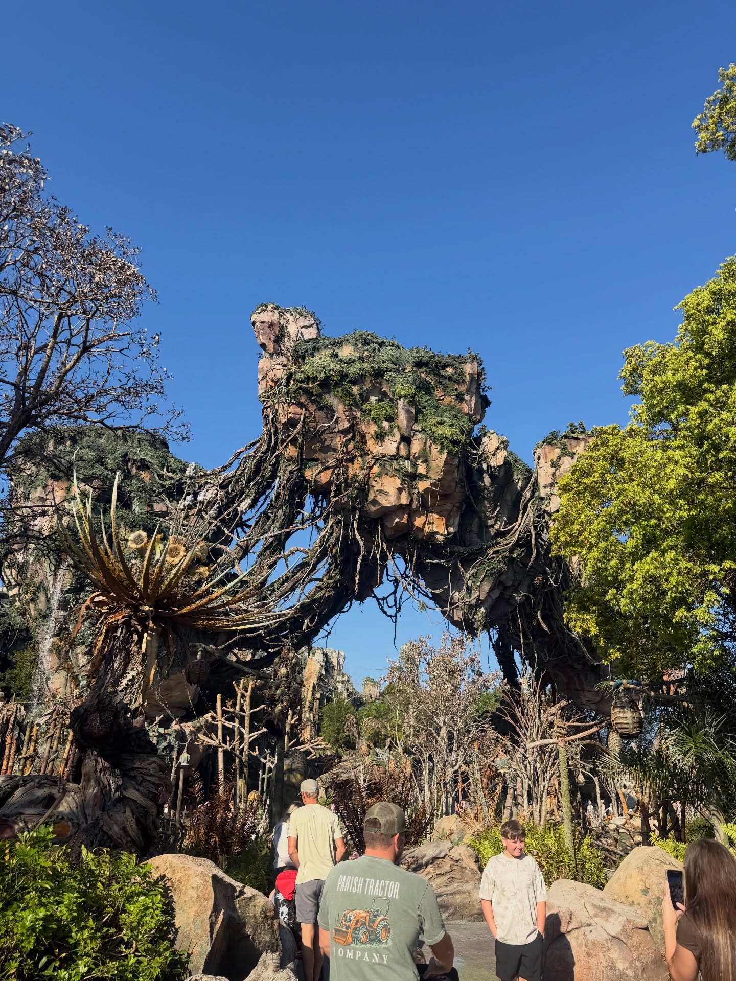 ต้น - ธนษิต จตุรภุช