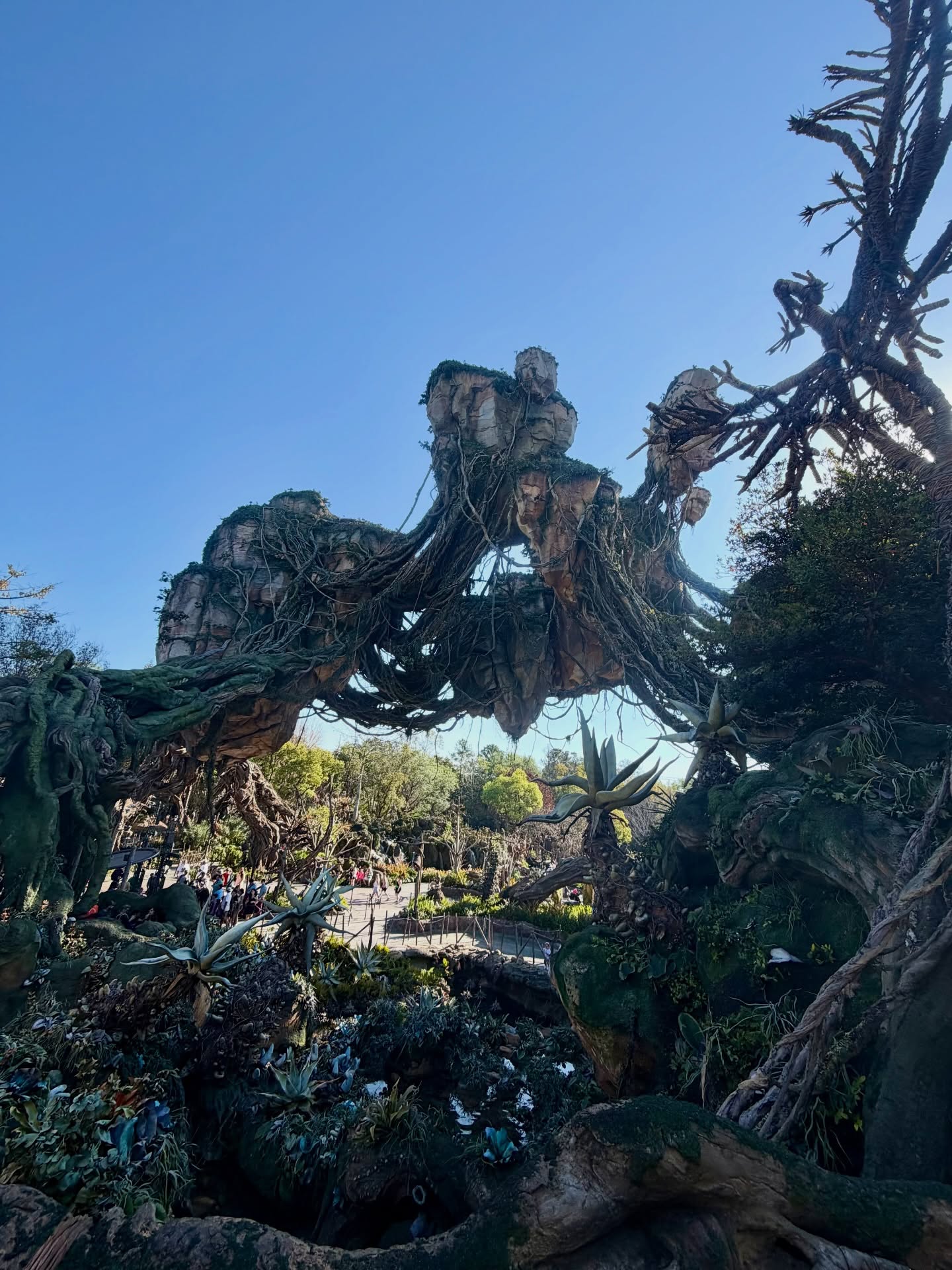 ต้น - ธนษิต จตุรภุช