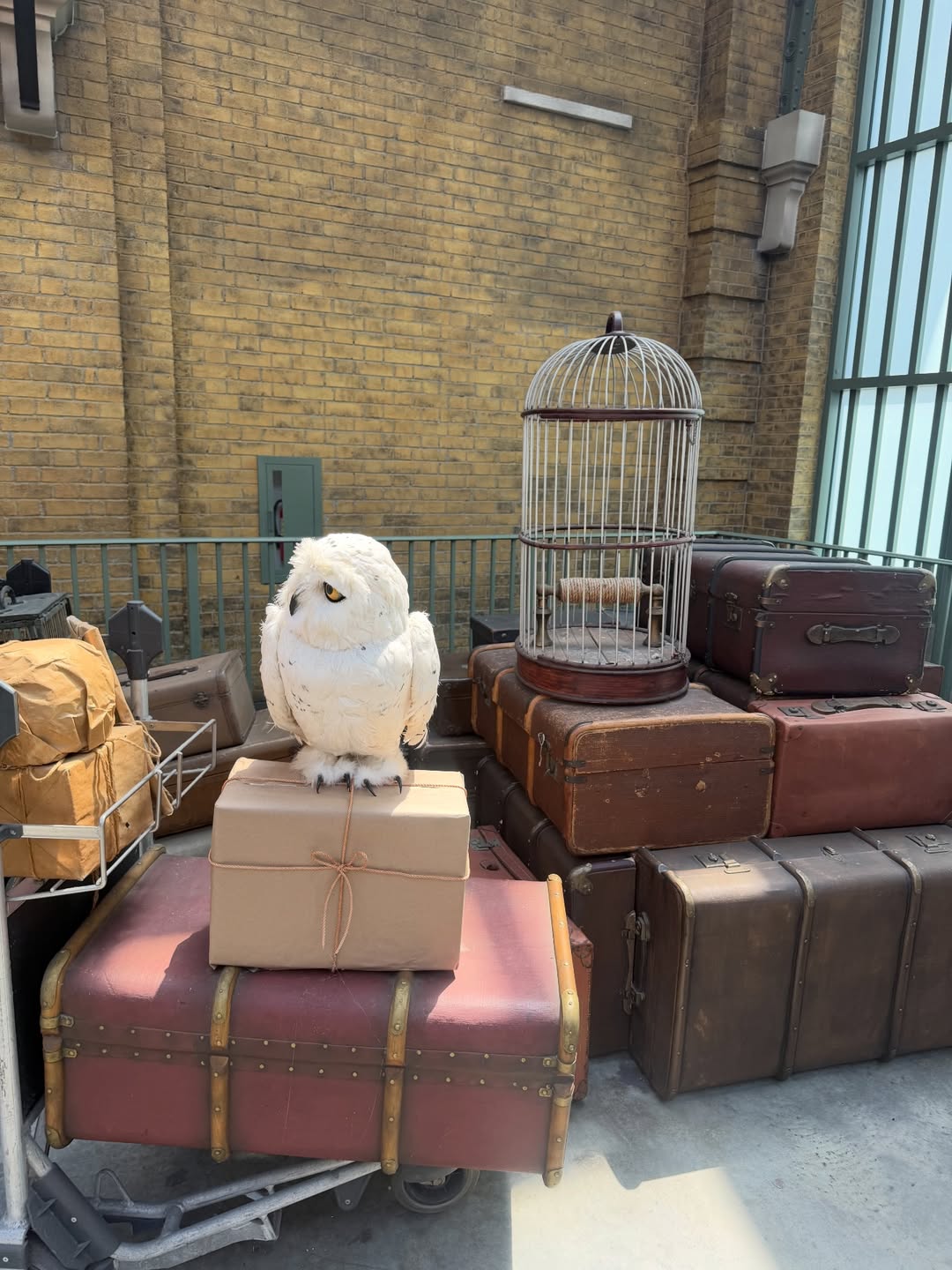 ต้น - ธนษิต จตุรภุช