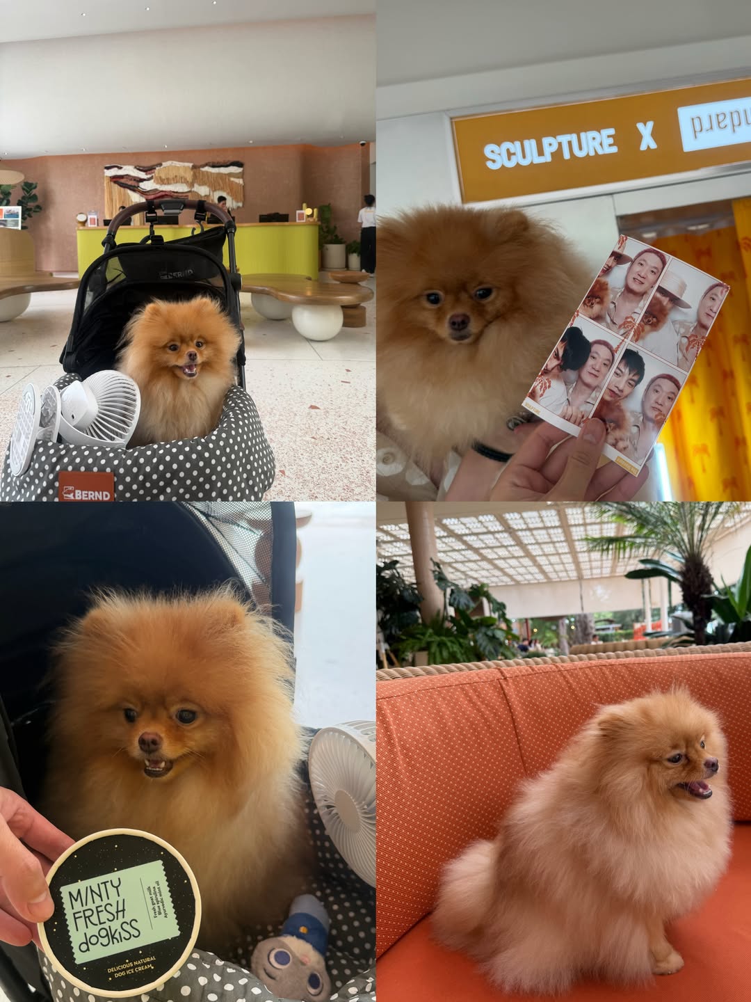 ต้น - ธนษิต จตุรภุช