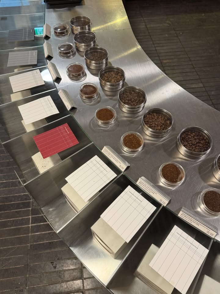 ทับทิม - ภรัณยา ลาภอุดมสกุล