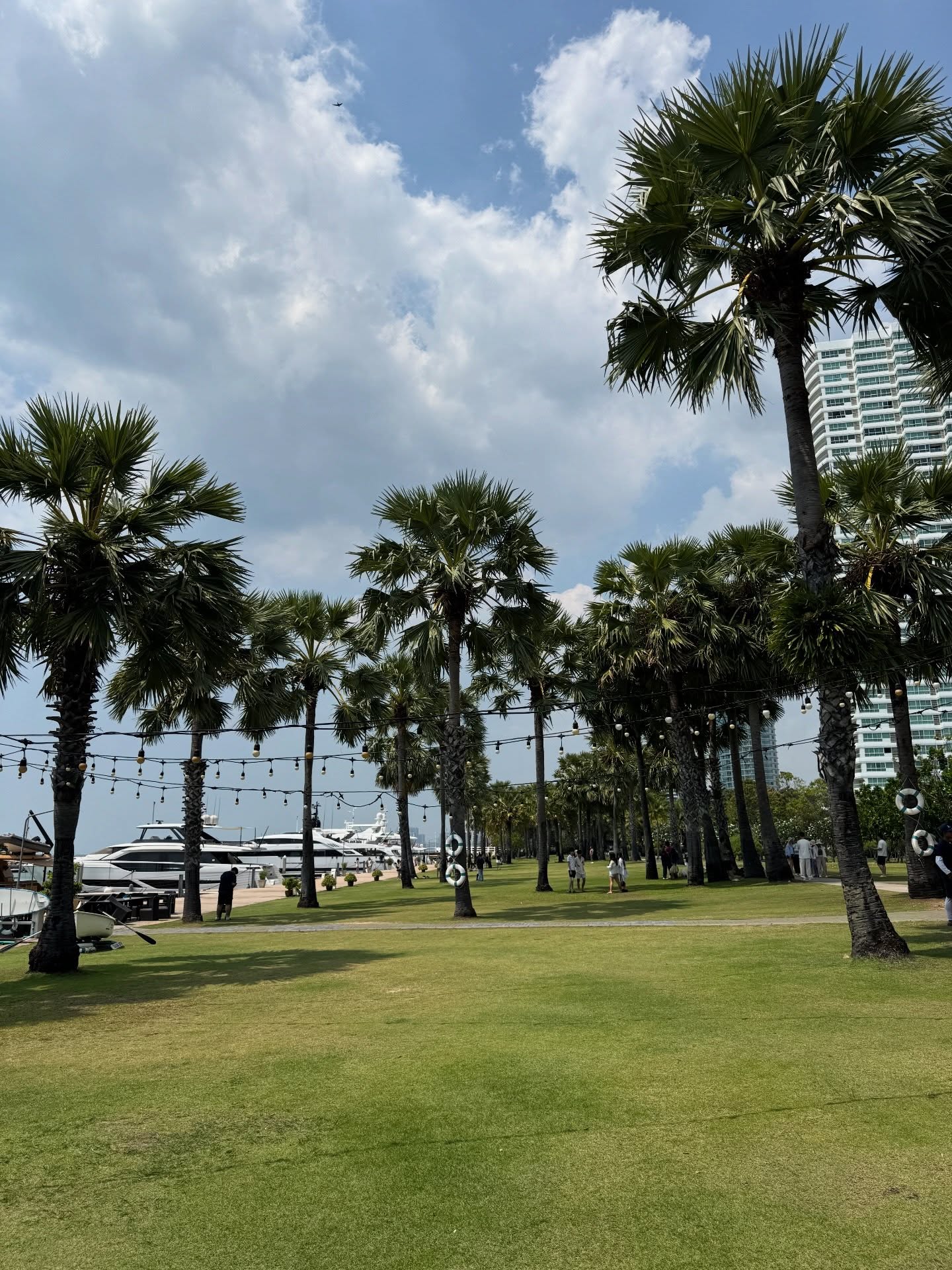 ทับทิม - ภรัณยา ลาภอุดมสกุล