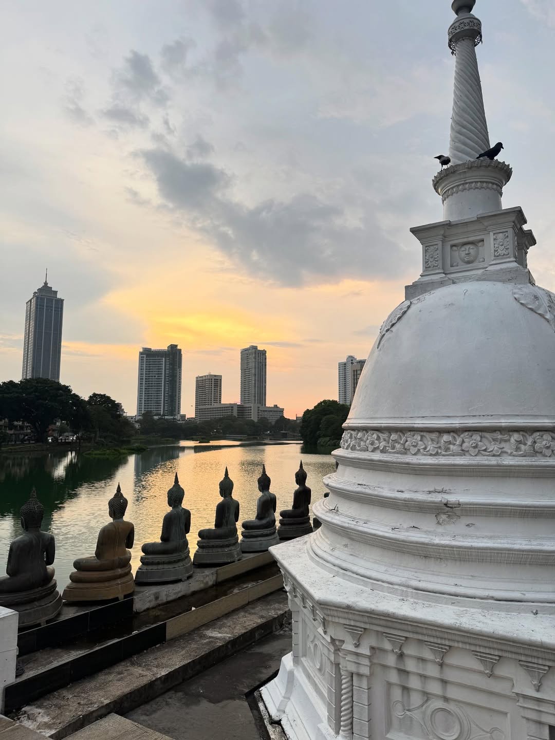 เบลล่า - ราณี แคมเปน